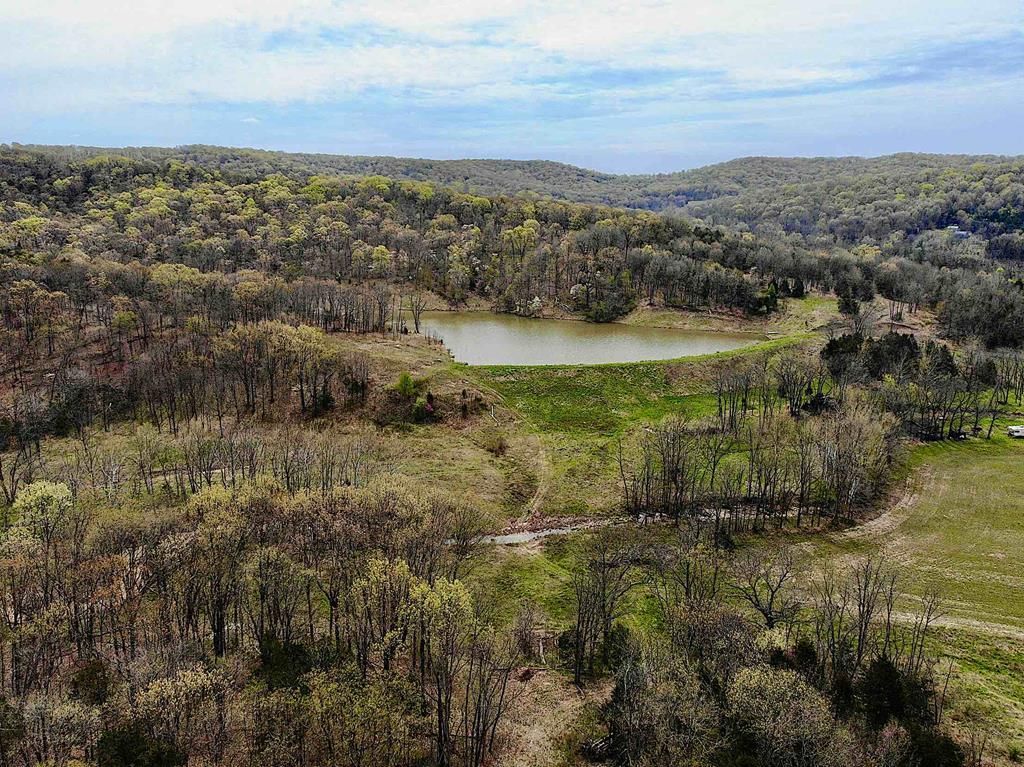 Bluffton Road, Rhineland, MO 65069 MLS 21283 Land and Farm
