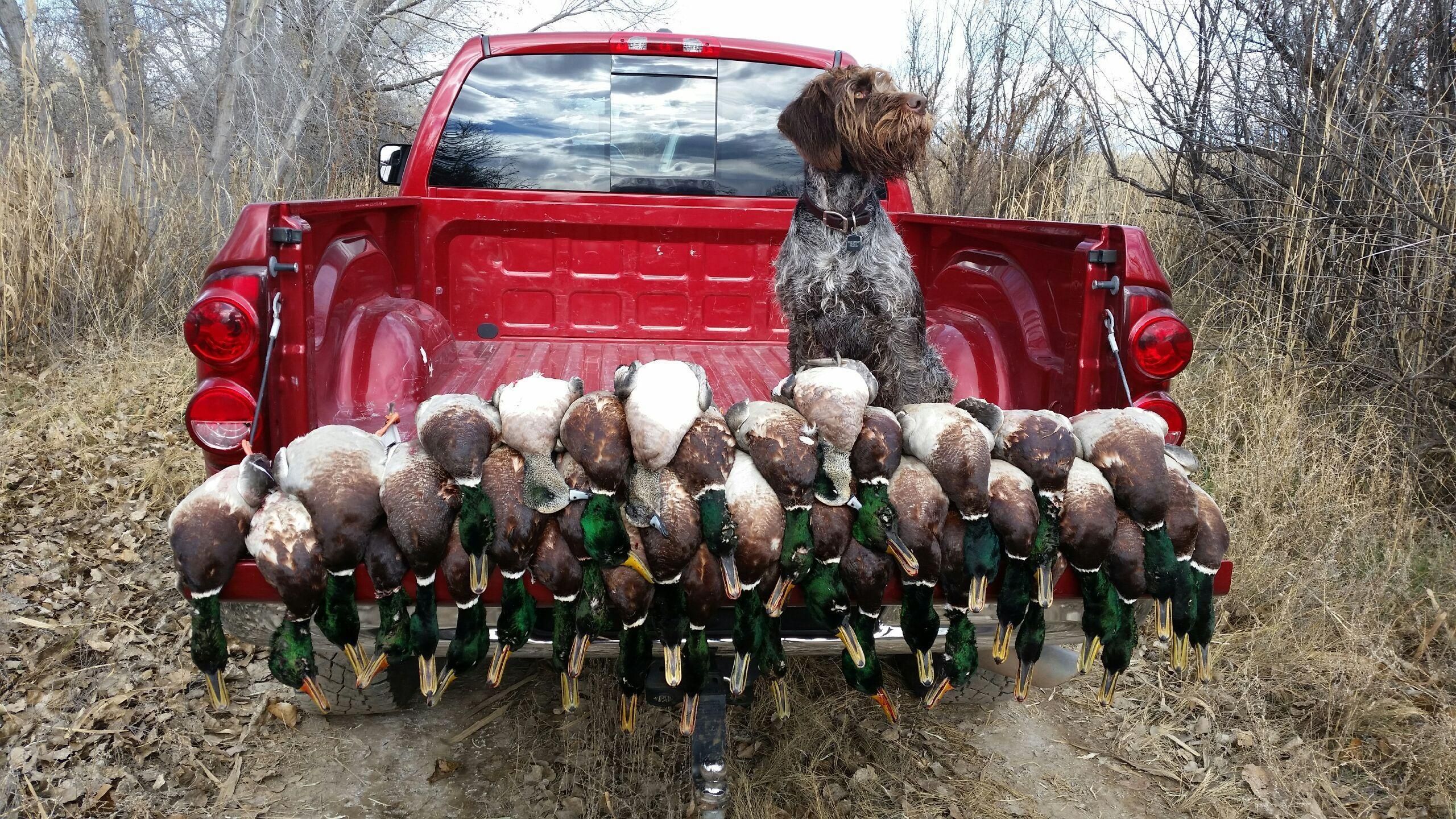 TBD North River Road, Olathe, CO 81425 Land and Farm