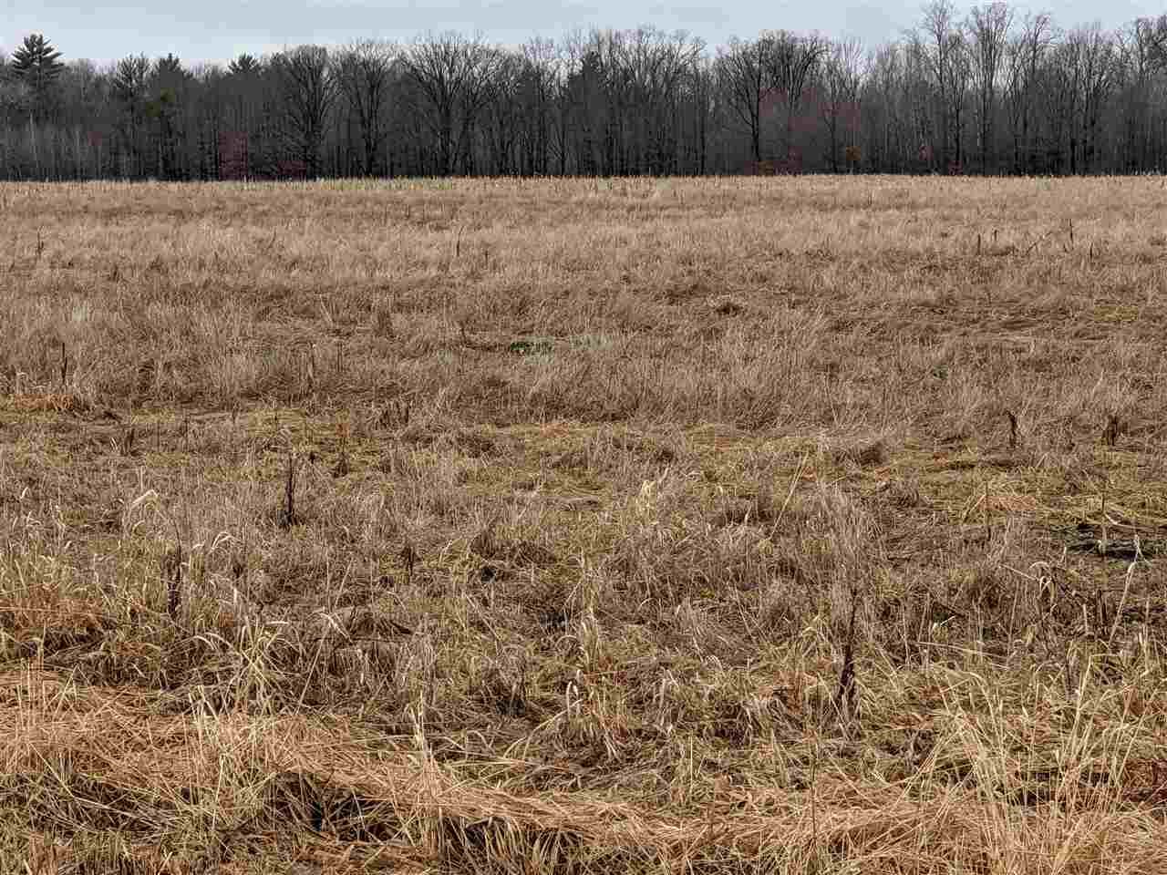 40 Acres, Lot1 STEFFEK ROAD, Pittsville, WI 54466 Land and Farm