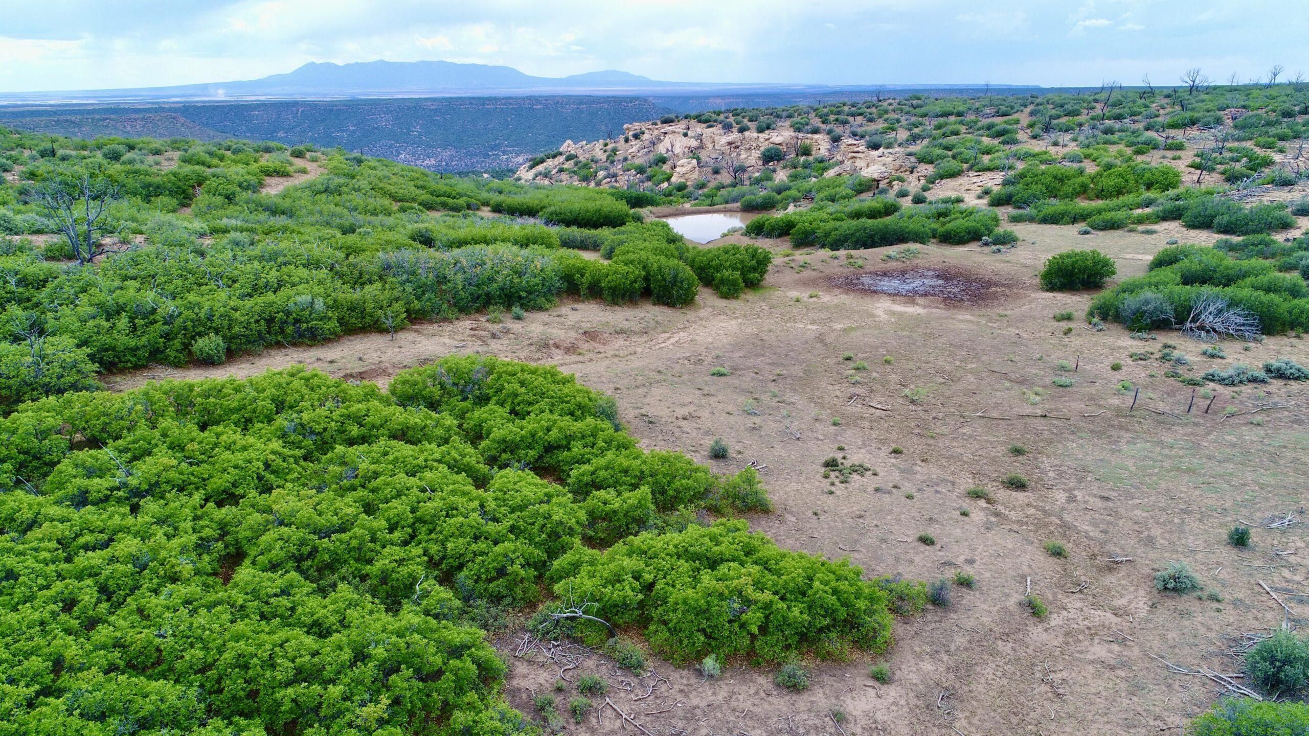 455.5 Acres, TBD, Dove Creek, CO 81324 Land and Farm