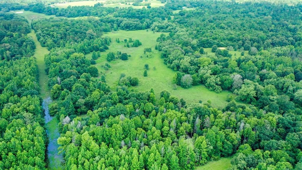 256 Acres, CR 212, Flo, TX 75831 Land and Farm