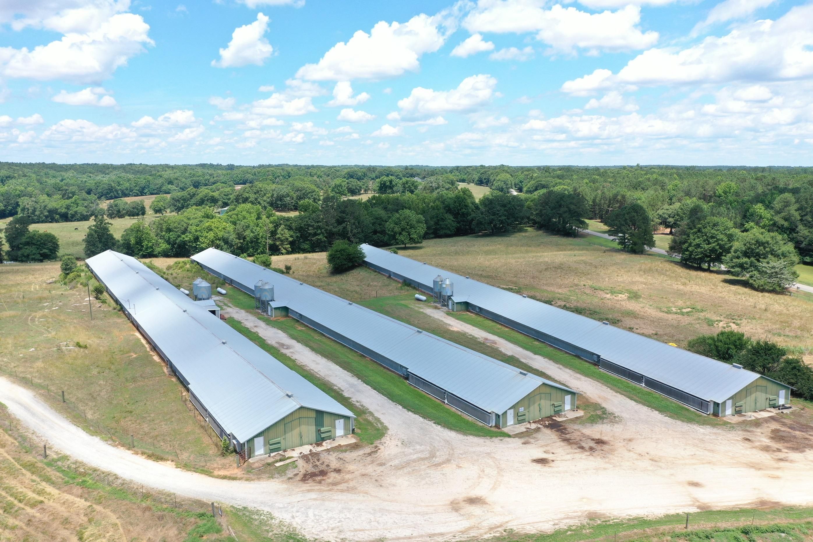 70 Acres, 152 Wesley Chapel Road, Lexington, GA 30648 Land and Farm