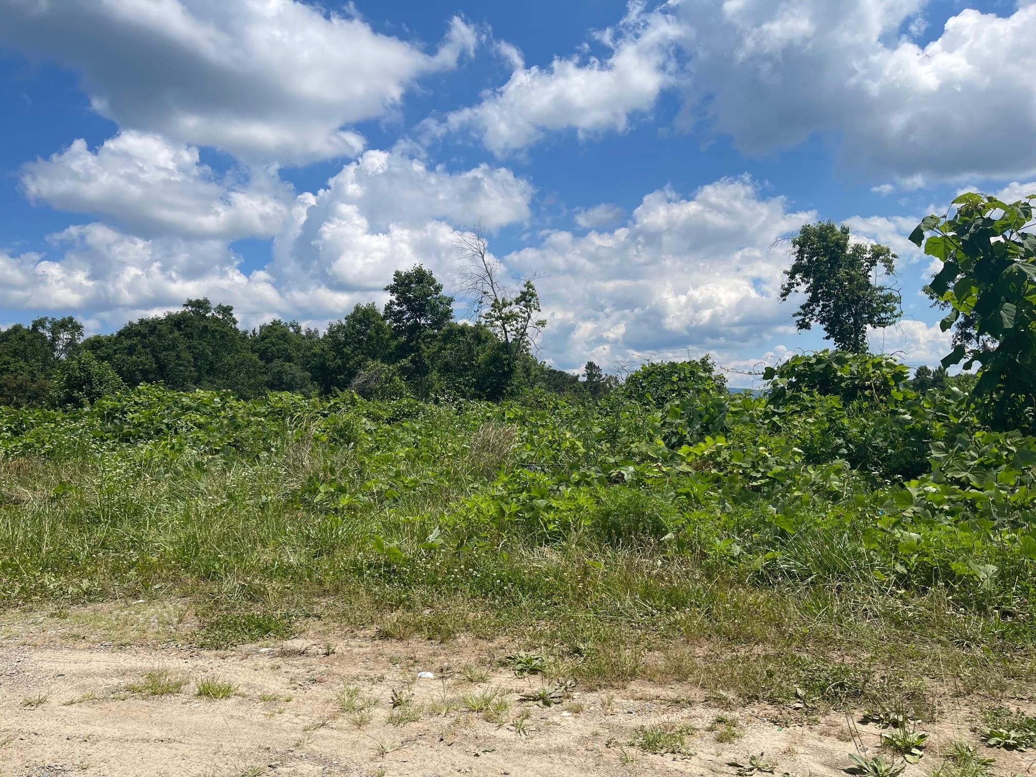 1860 Joe Brown Highway, Murphy, NC 28906 Land and Farm