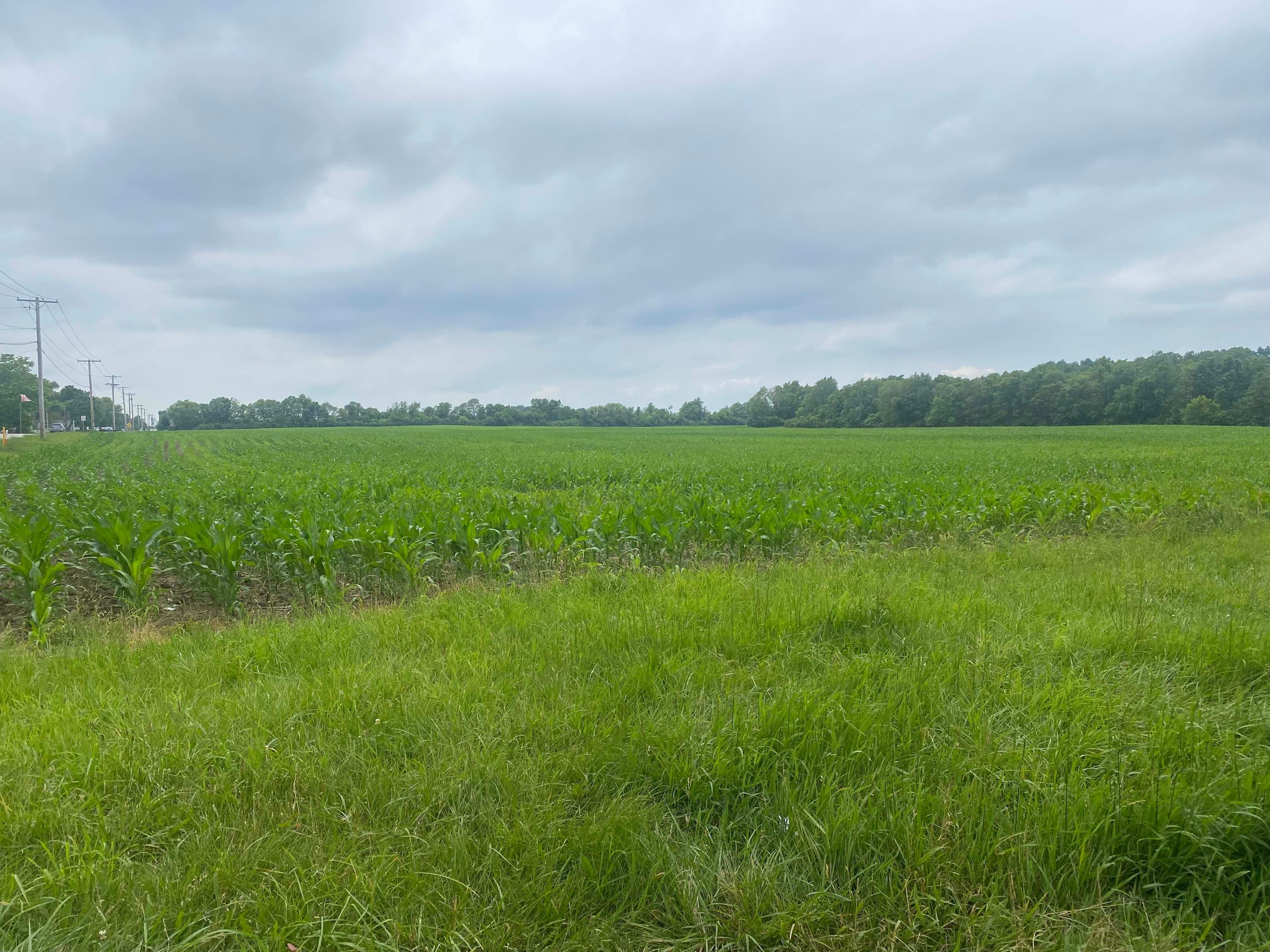 118.2 Acres, 5113 E. 35 US OH, West Alexandria, OH 45381 Land and Farm
