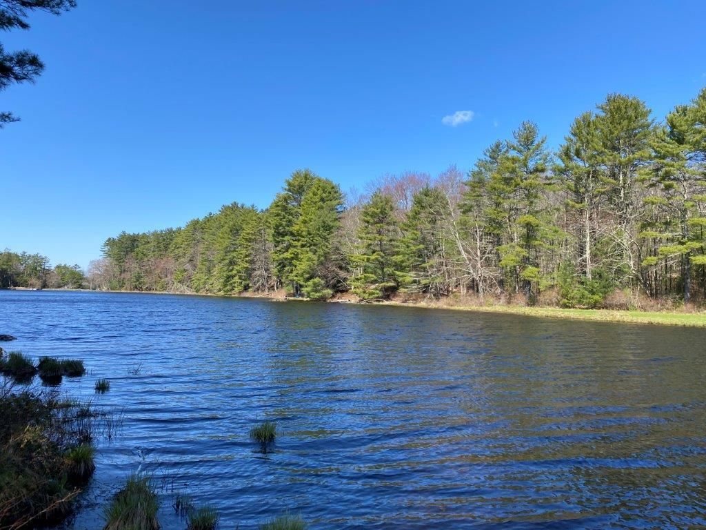 15 Acres, Forestburgh, NY 12777 Land and Farm