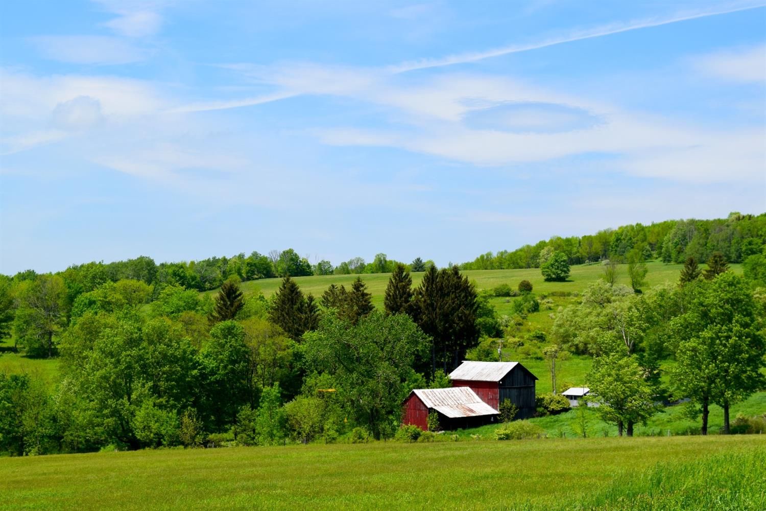 359.15 Acres, 939 Irishtown Road, Newark Valley, NY 13811 Land and Farm
