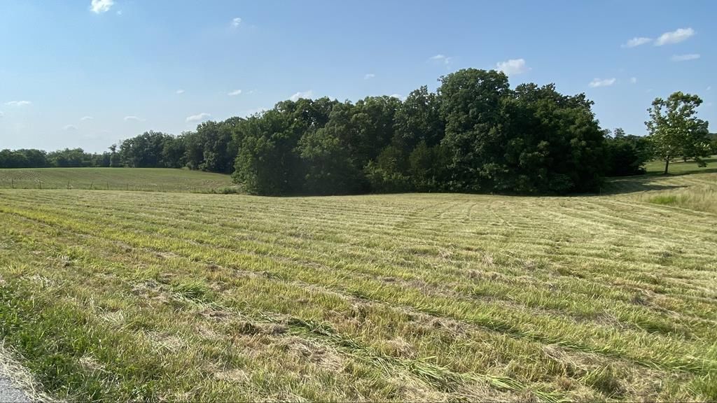 15 Acres, 759 Quarry Road, Silex, MO 63377 Land and Farm