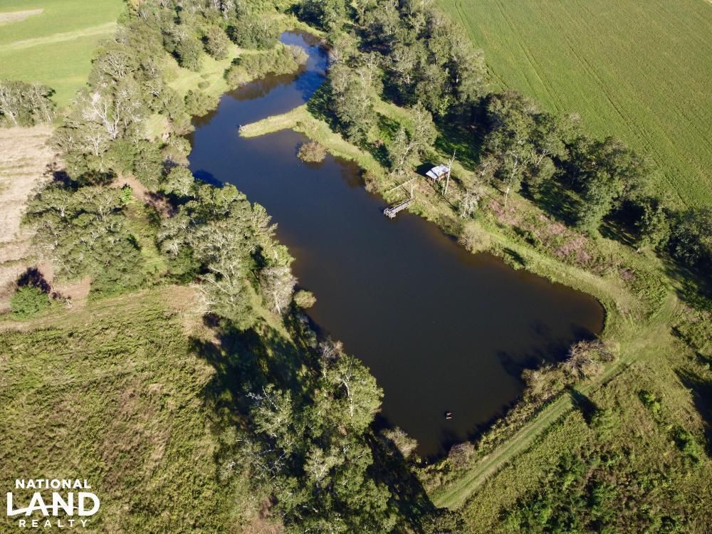 Highway 31, Atmore, AL 36502 Land and Farm