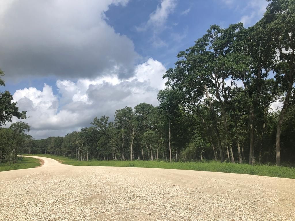 10.01 acres in Centerville, TX, 75833 Land and Farm