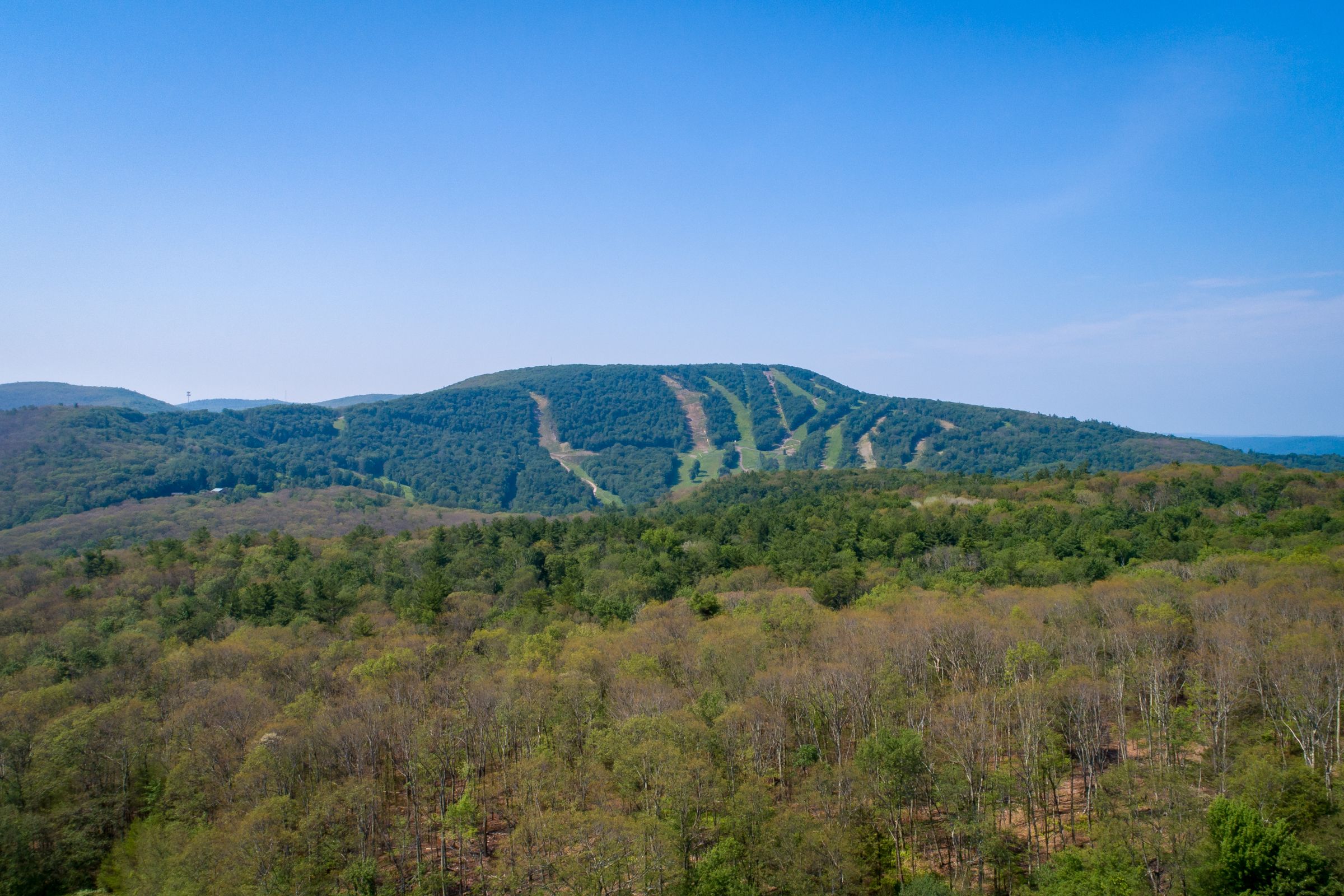 55 Acres, Ox Bow Rd, Egremont, MA 01230 Land and Farm