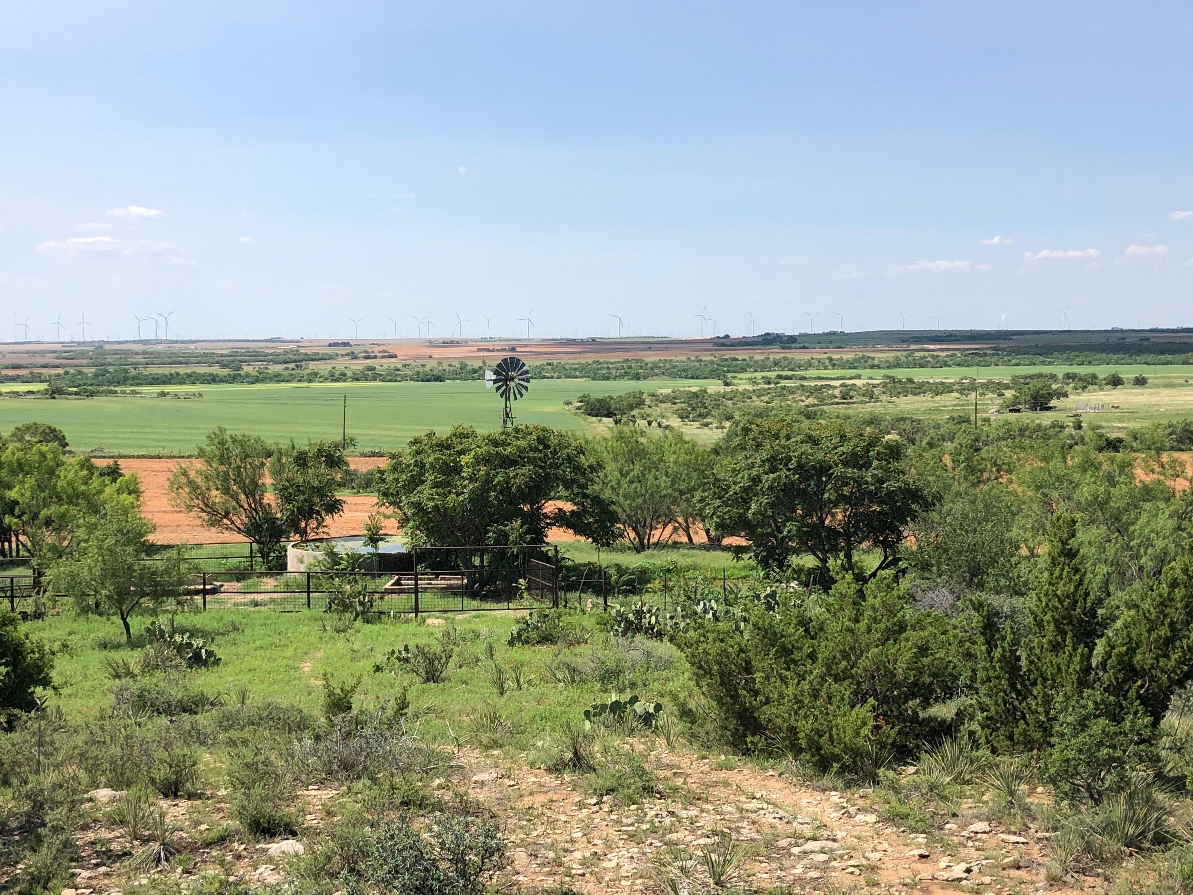 133 acres in Roscoe, TX, 79545 Land and Farm