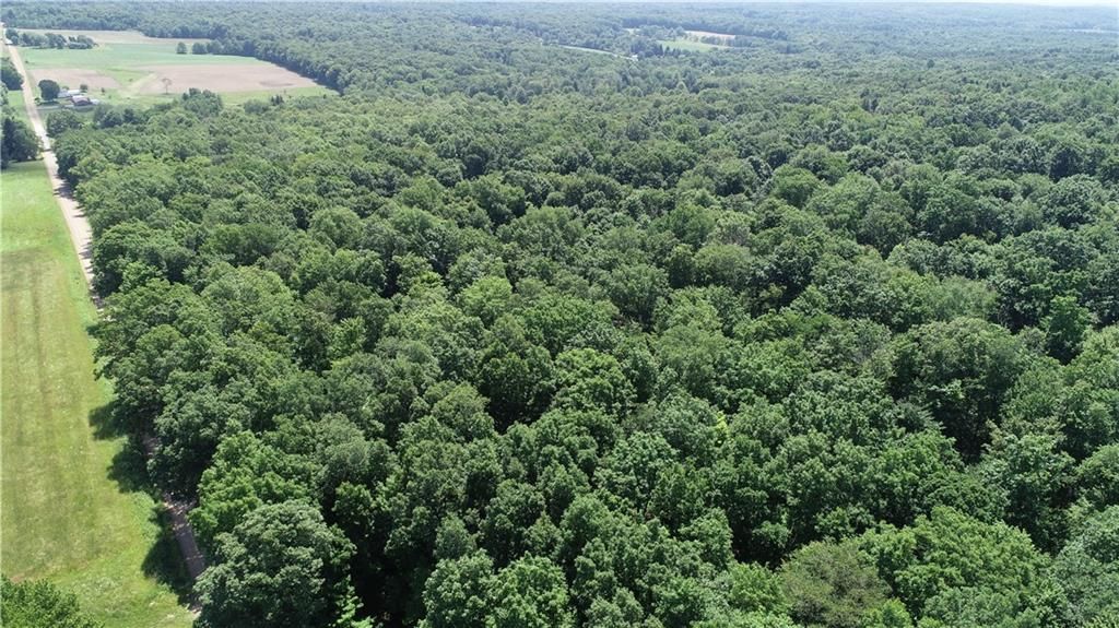 20 Acres, 0 AGNEW Road, Conneautville, PA 16406 Land and Farm