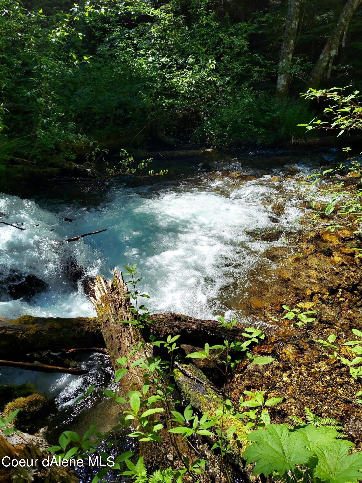 10 Acres, NKA Trapper Creek Spur, Sandpoint, ID 83864 Land and Farm