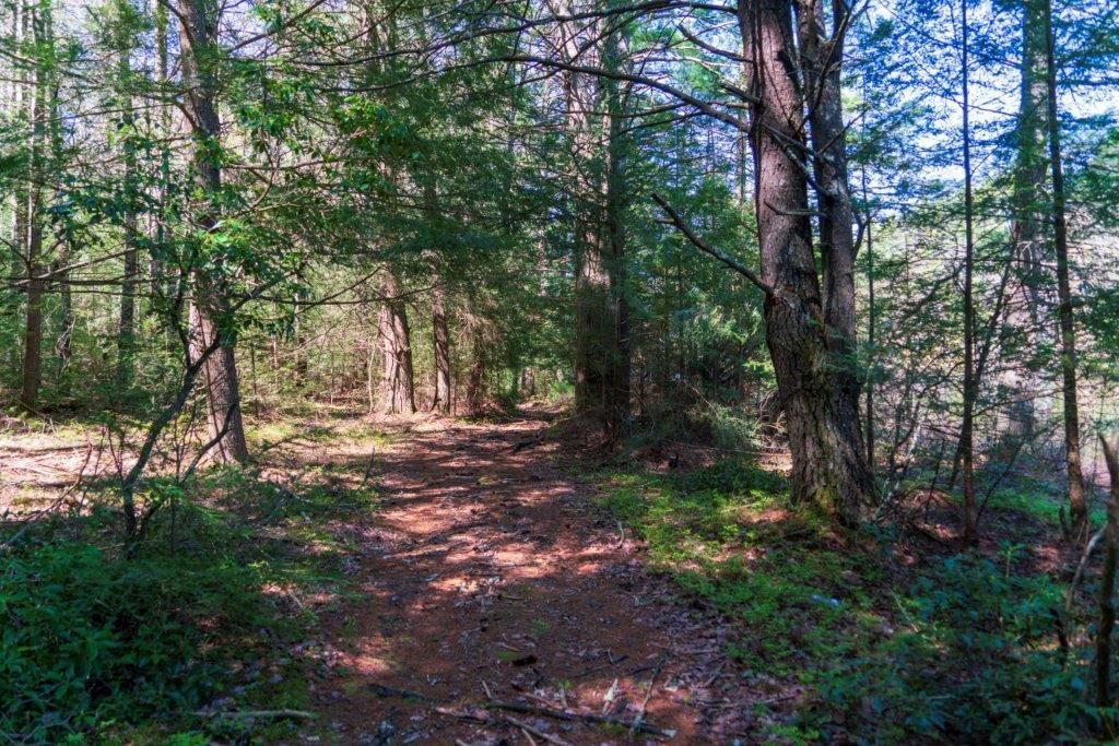 171 acres in Forestburgh, NY, 12777 Land and Farm