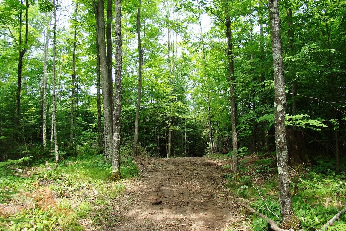 Lily Lake Lane, Nashville, WI 54465 Land and Farm