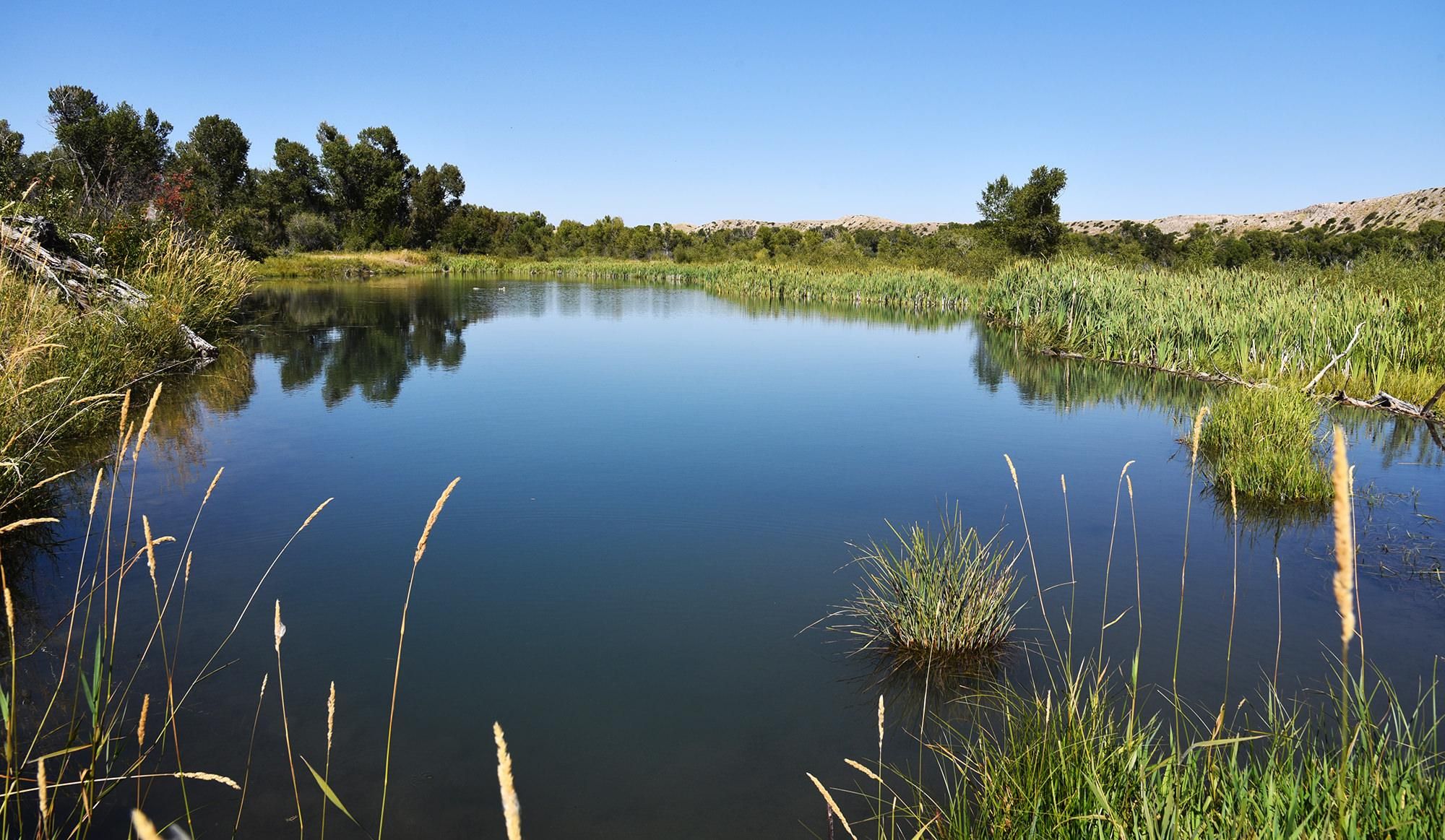 1,411 Acres, Augusta, MT 59410 Land and Farm