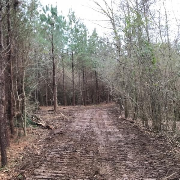 70 Acres, Airport Road, Tylertown, MS 39667 Land and Farm