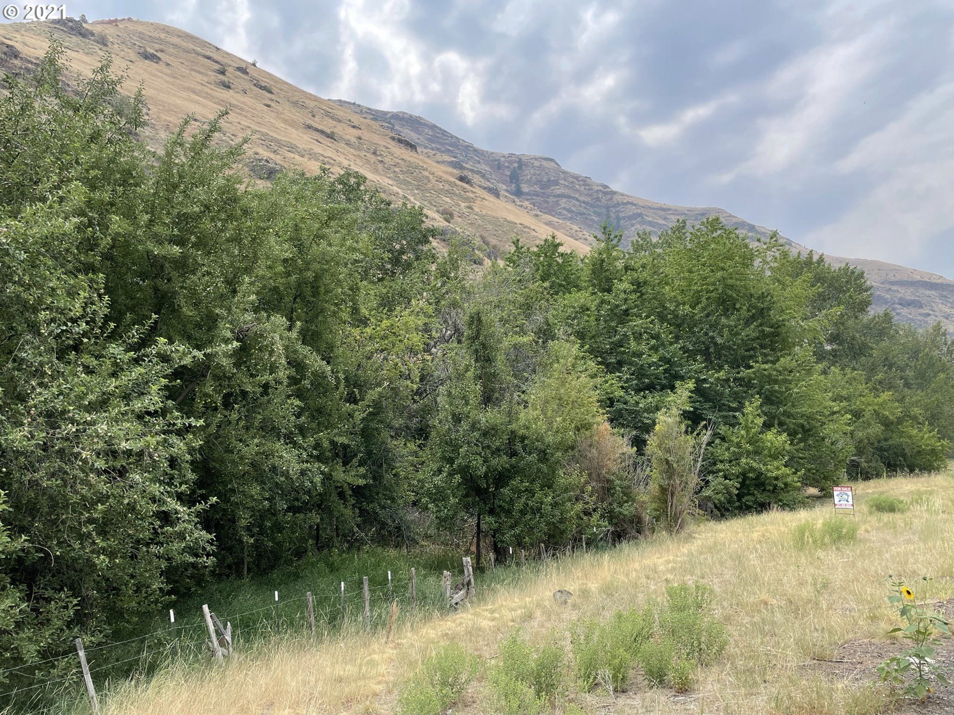 10 Acres, 022 Imnaha HWY, Joseph, OR 97846 Land and Farm