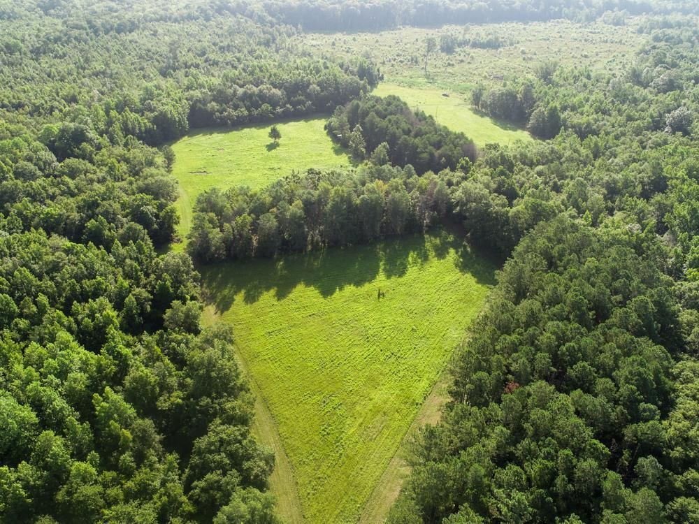 232.1 acres in Bowman, SC, 29018 Land and Farm