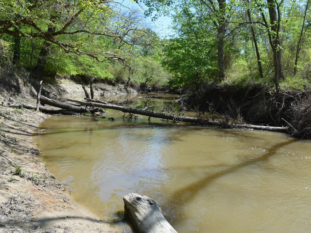 273 acres in Mount Vernon, TX, 75457 Land and Farm