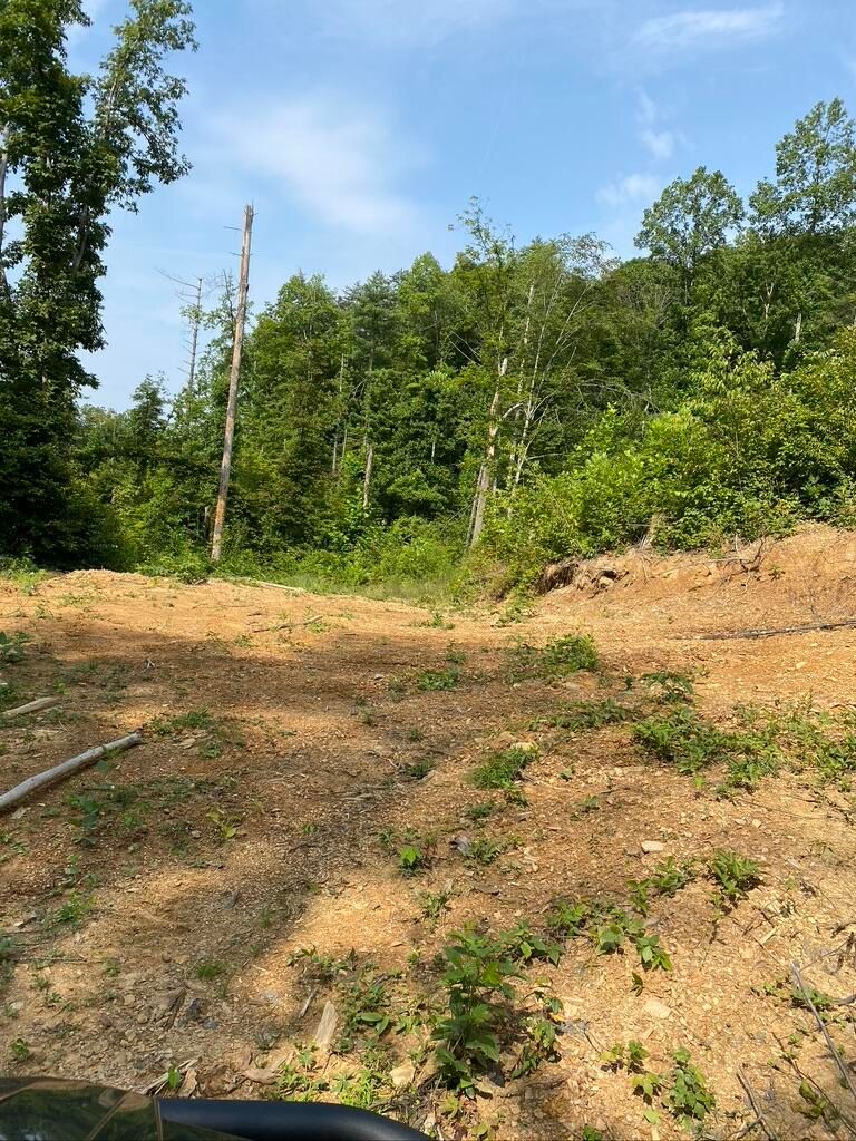 67.72 Acres, 1976 Hollon Fork Road, Campton, KY 41301 Land and Farm