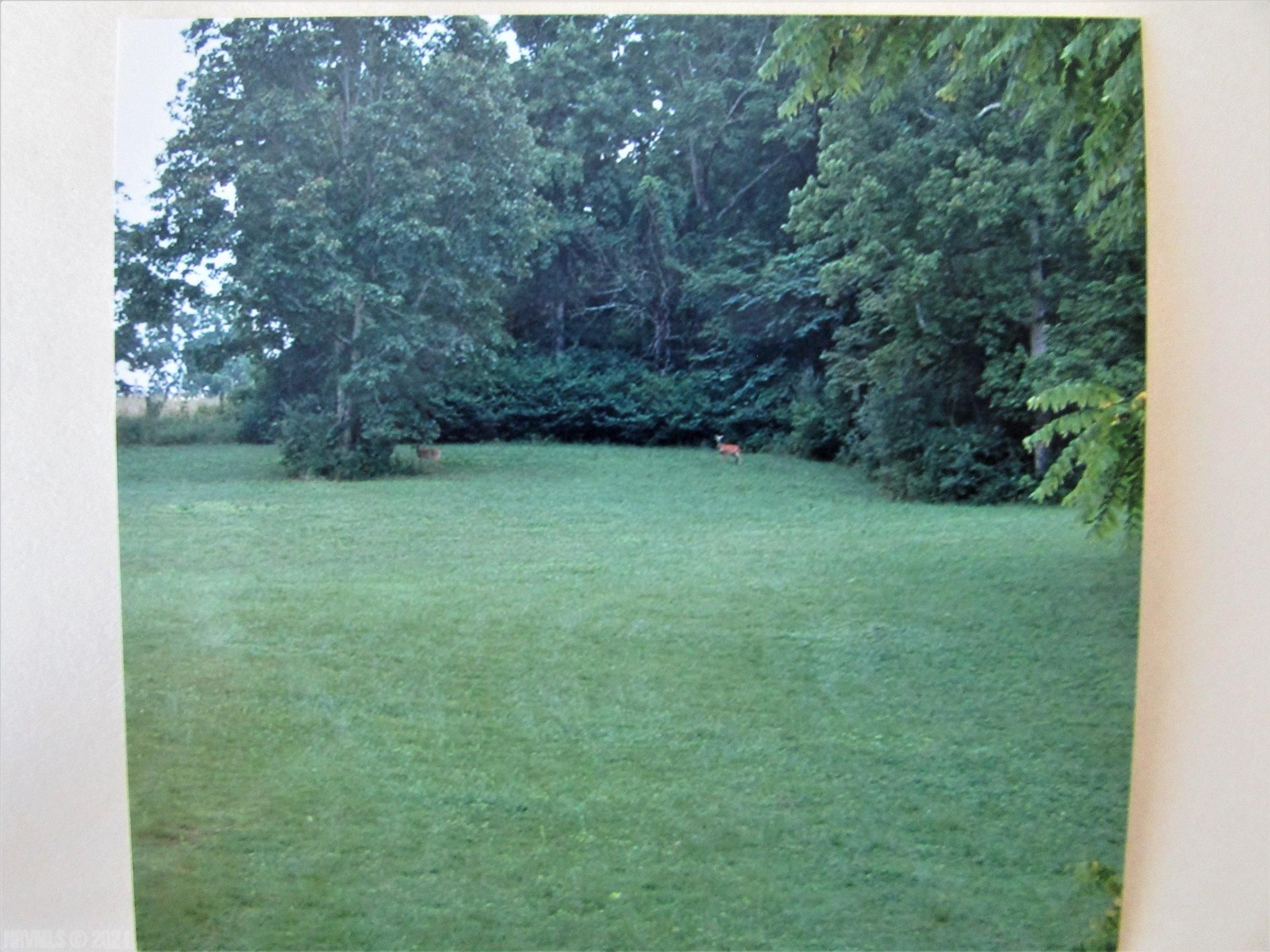 72.35 Acres, TBD Mount Tabor Road, Blacksburg, VA 24060 Land and Farm