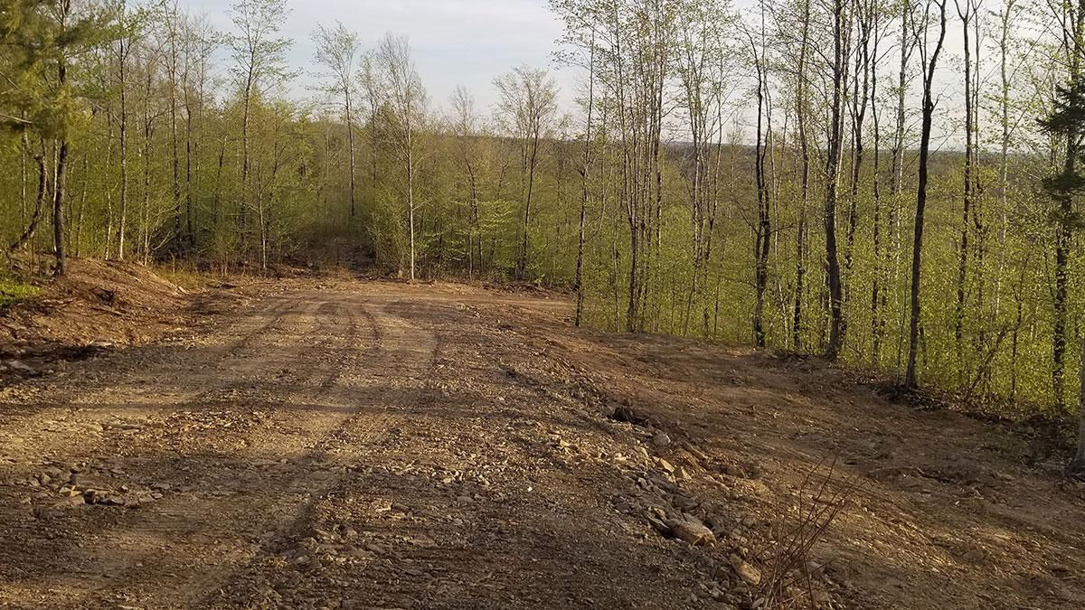 31 Acres, Lower Pd Road, Sherman, ME 04776 Land and Farm