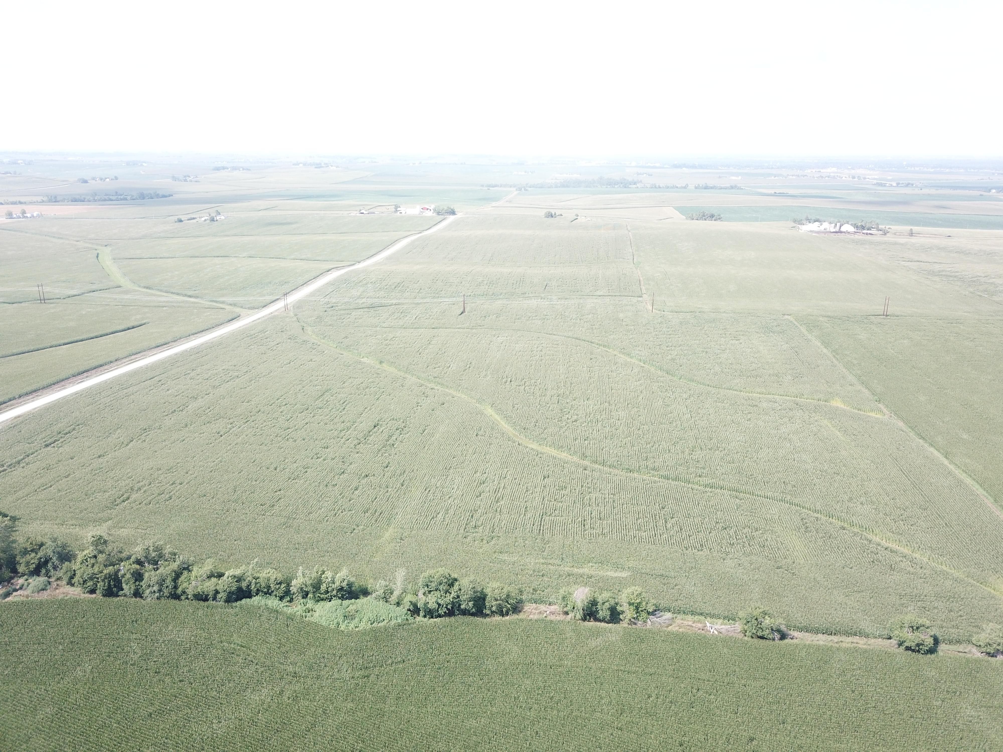 96 Acres, Vinton, IA 52349 Land and Farm