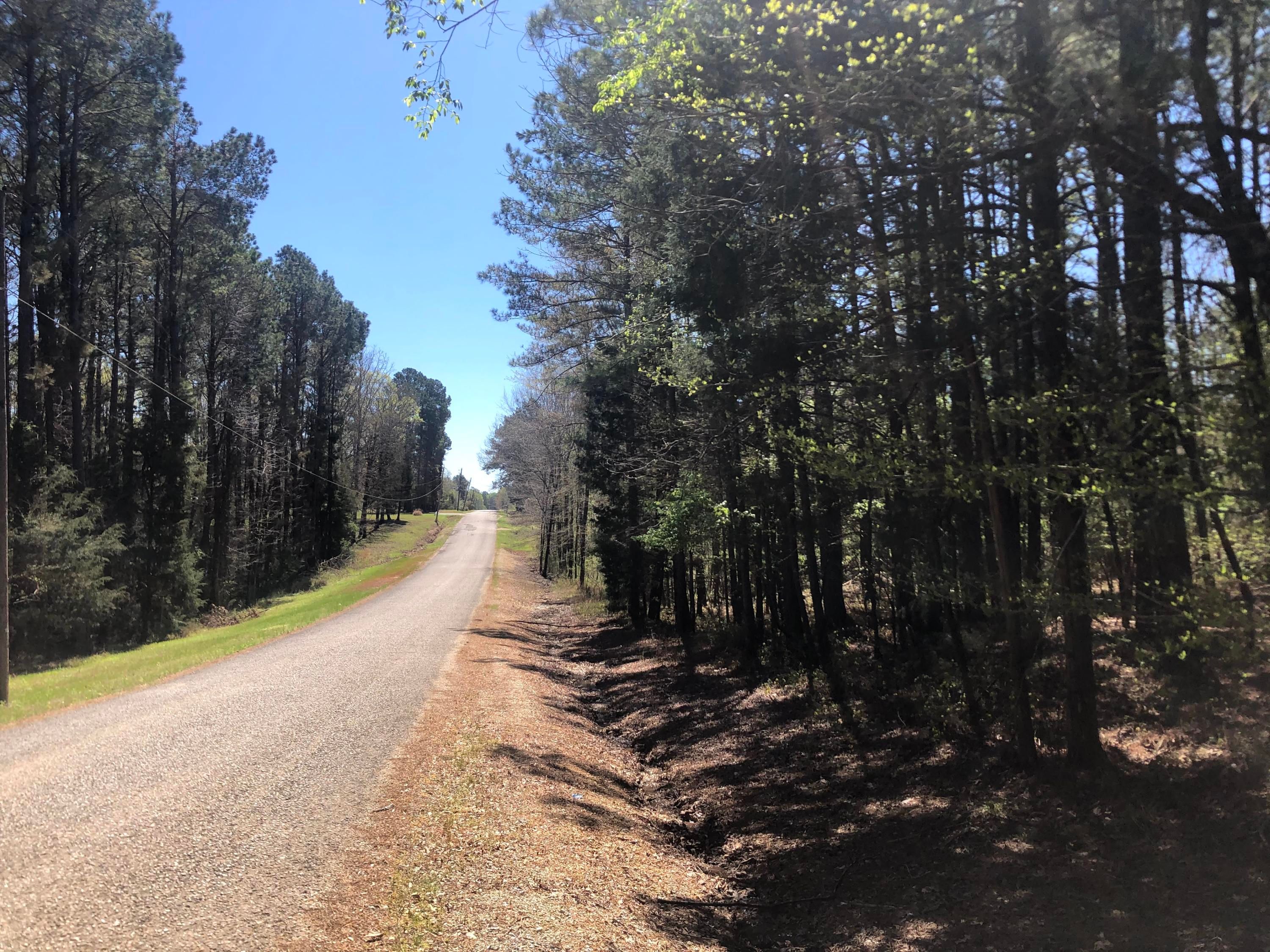 100 Acres, Sykes Rd, Starkville, MS 39759 Land and Farm