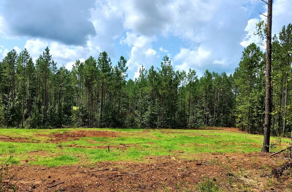 Co Rd 94, Lafayette, AL 36862 MLS 211000 Land and Farm