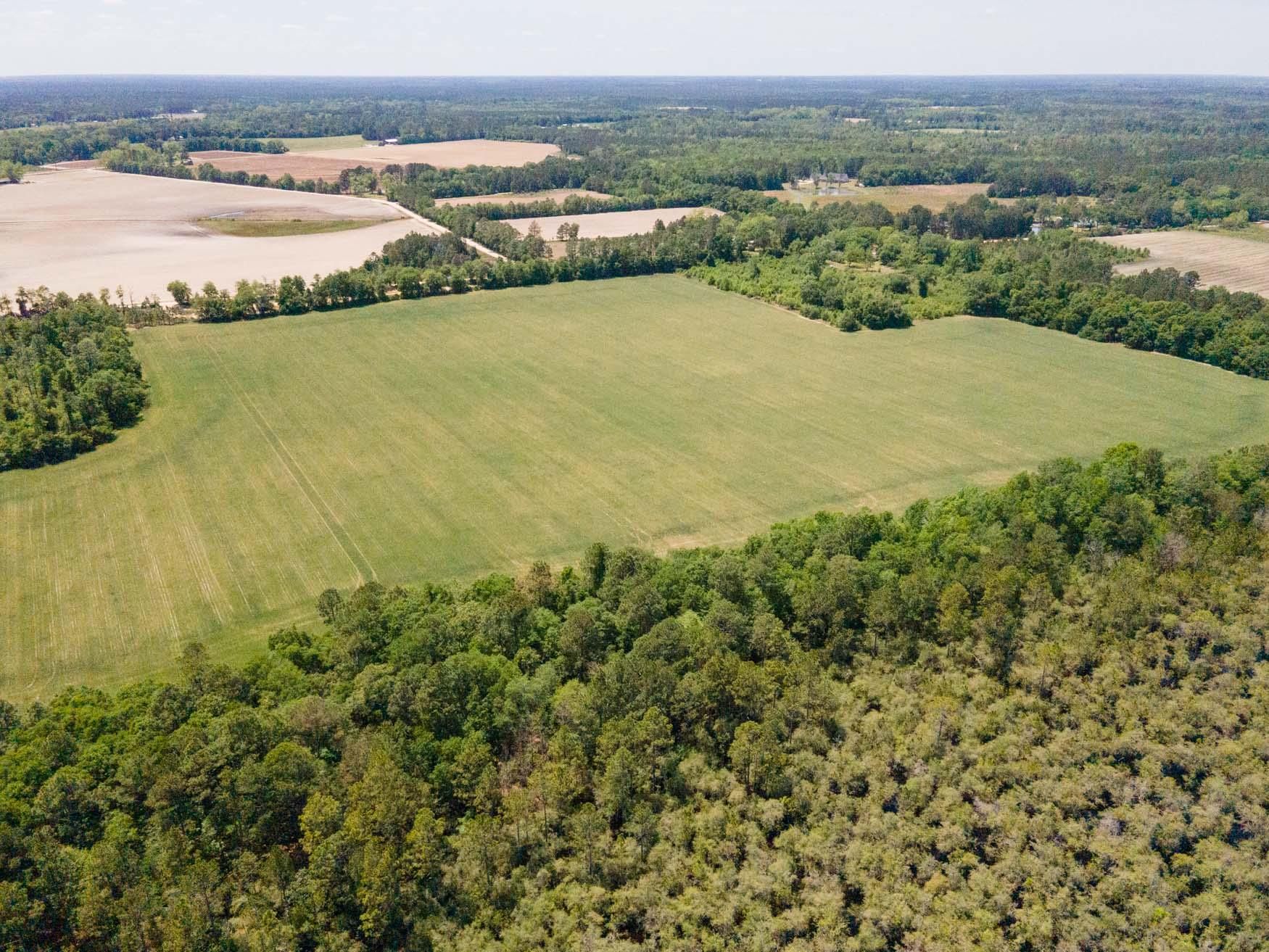 68 Acres, Old River Rd S, Brooklet, GA 30415 Land and Farm