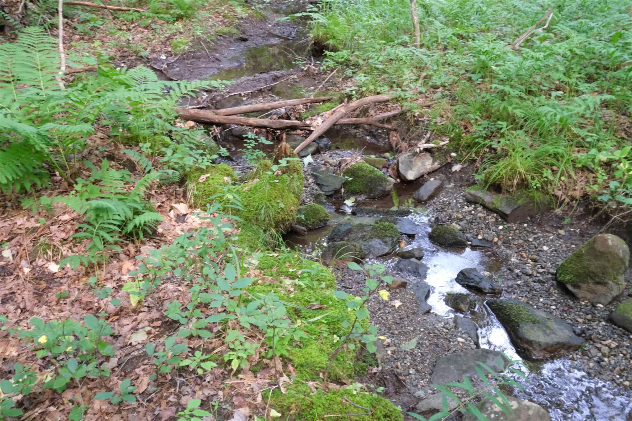 8.9 Acres, Lot 3 Taylor Road, Fletcher, VT 05448 Land and Farm