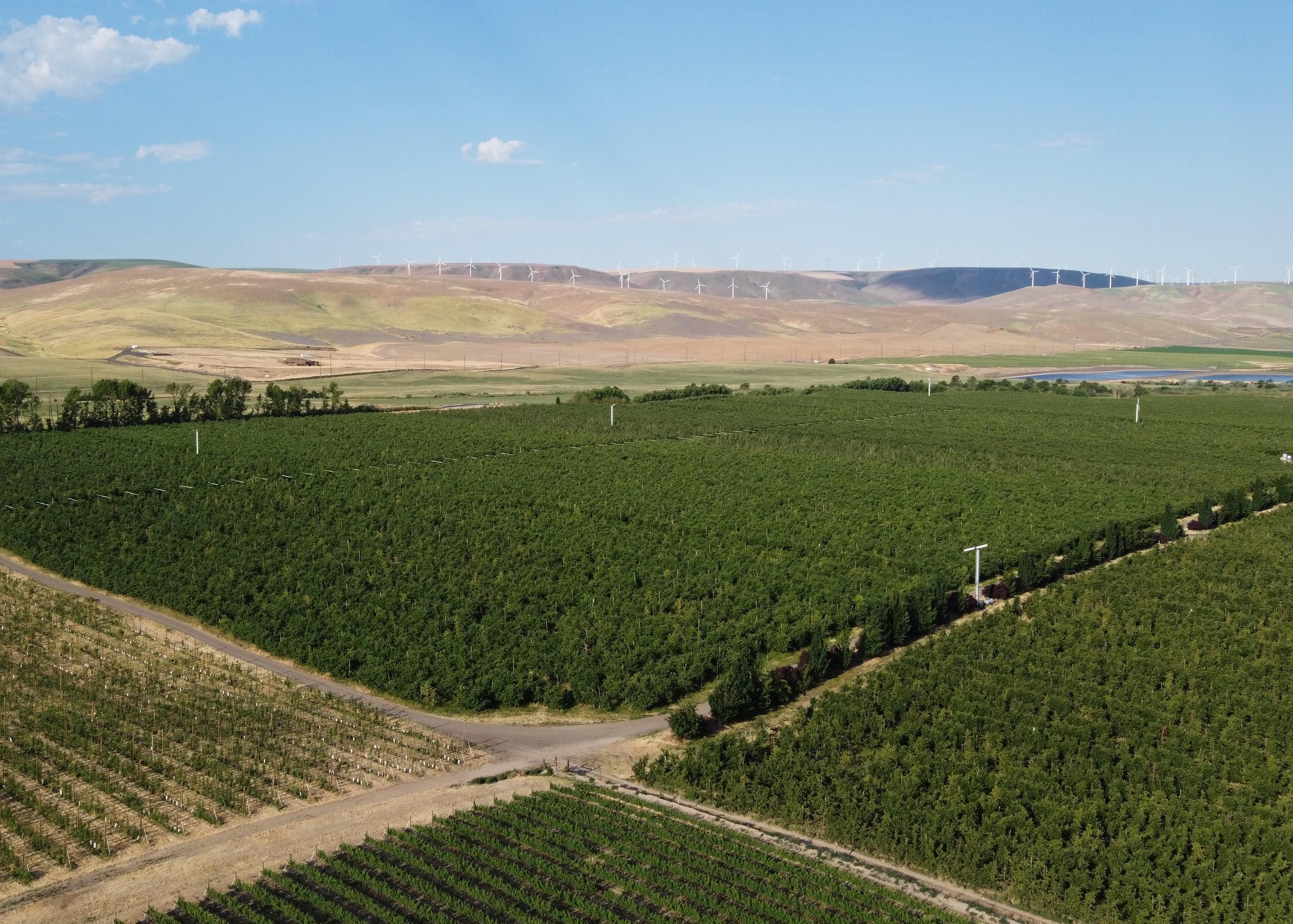 Seven Hills Road, Milton Freewater, OR 97862 Land and Farm