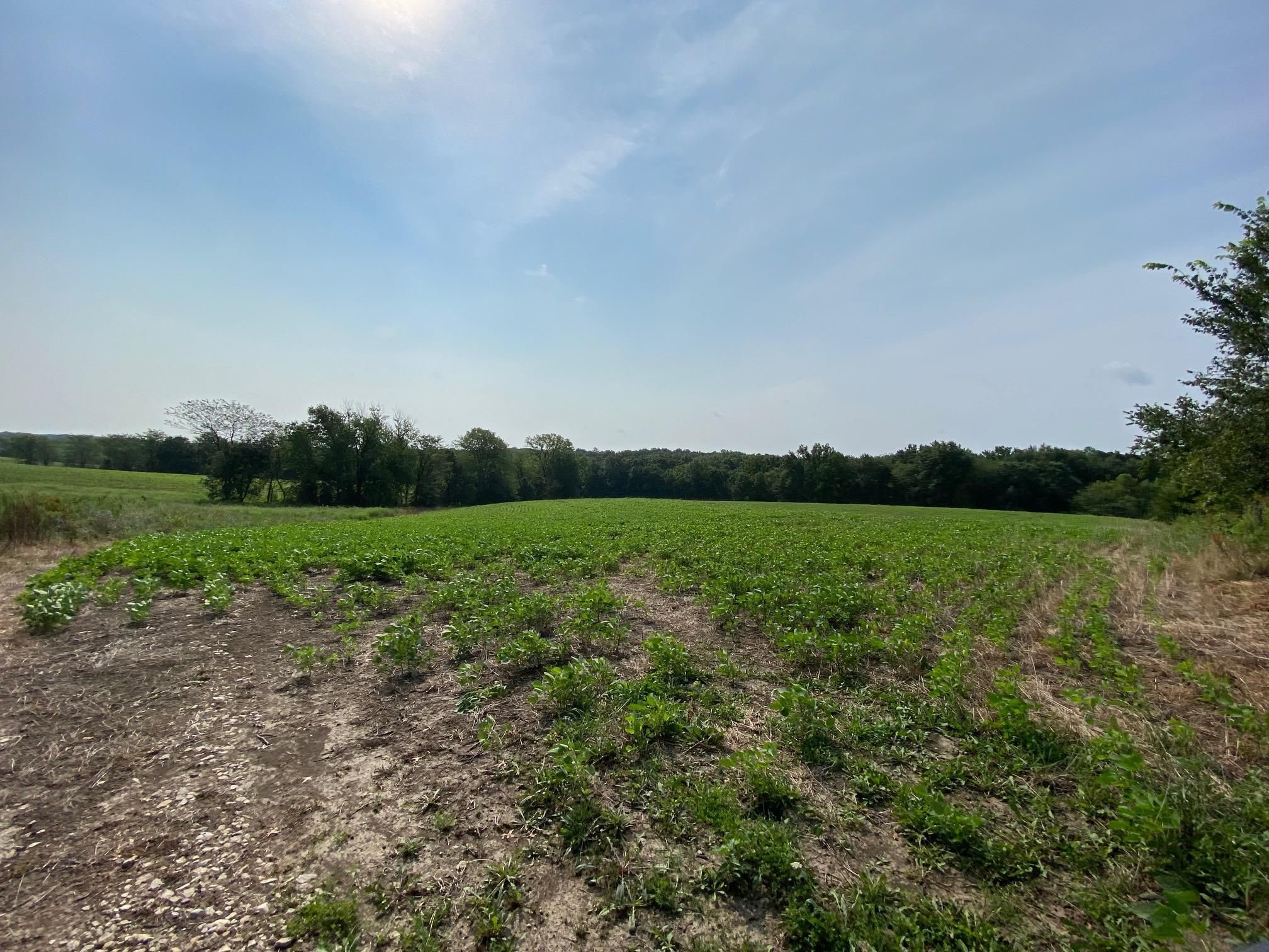 Hilton Avenue, La Plata, MO 63549 MLS Hilton 90 Land and Farm