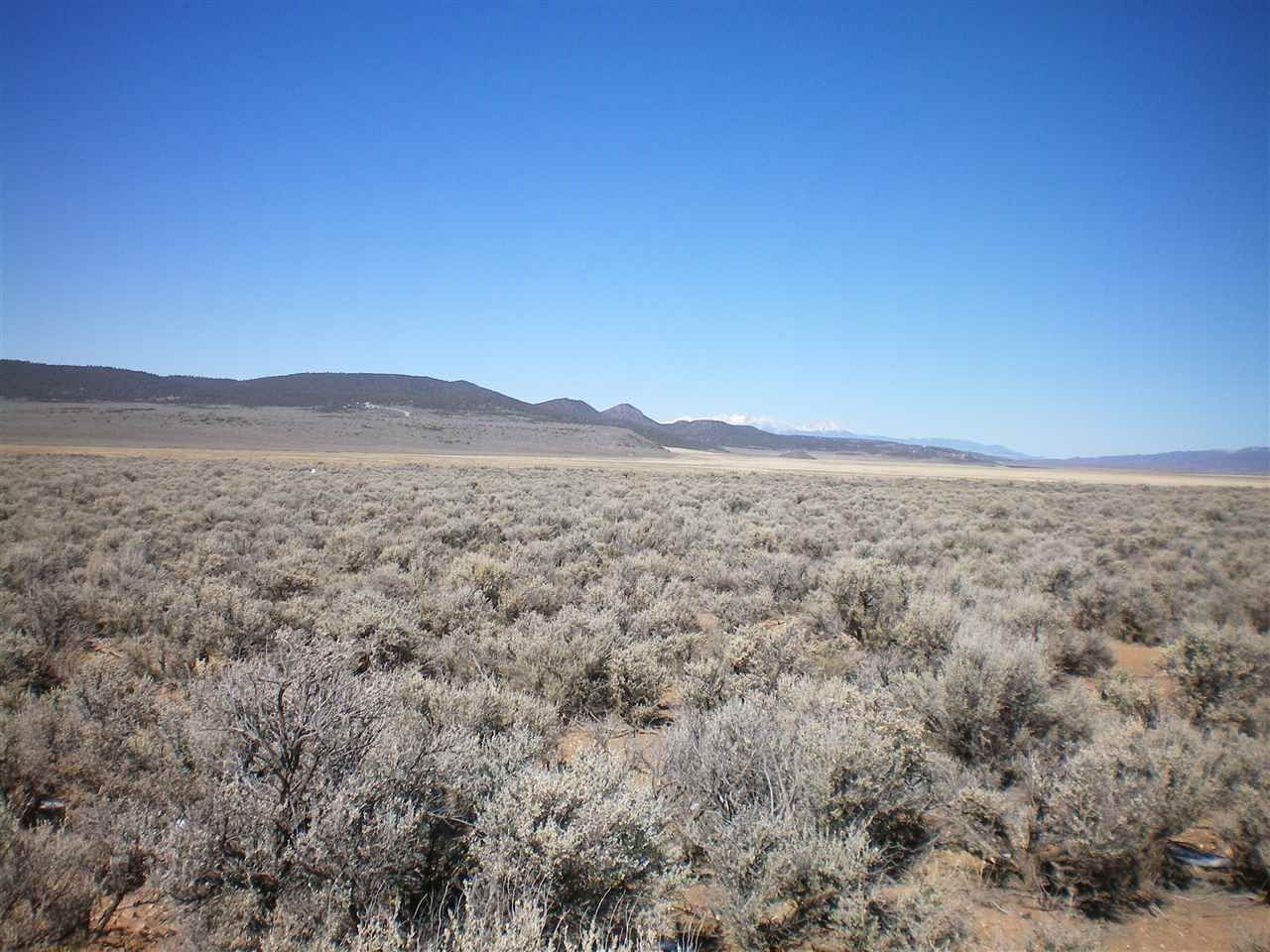 10 Acres, On Costilla Blvd, Amalia, NM 87512 Land and Farm
