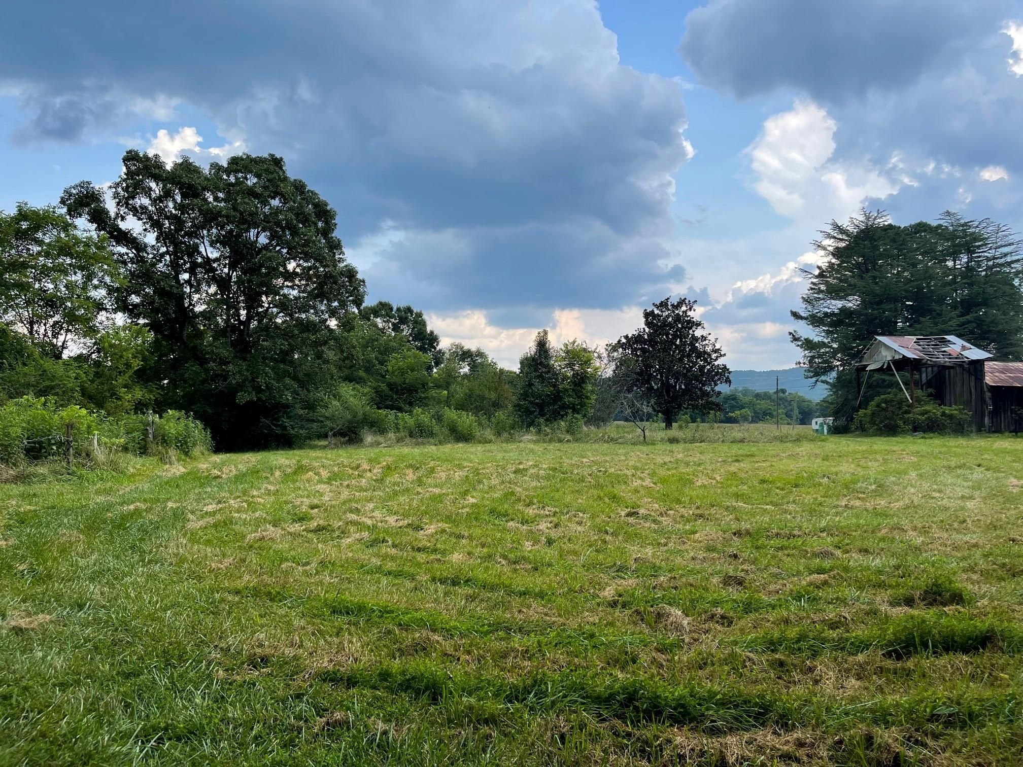 15 Acres, 107 Mill Street, Cave Spring, GA 30124 Land and Farm