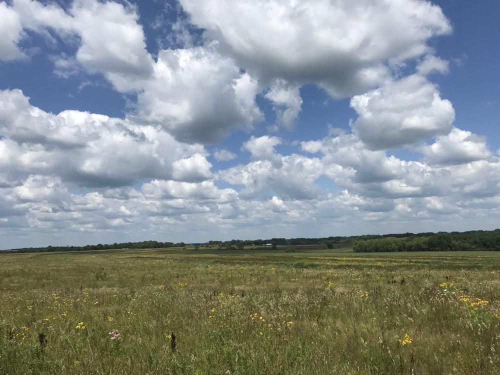 202 acres in Floyd, IA, Land and Farm