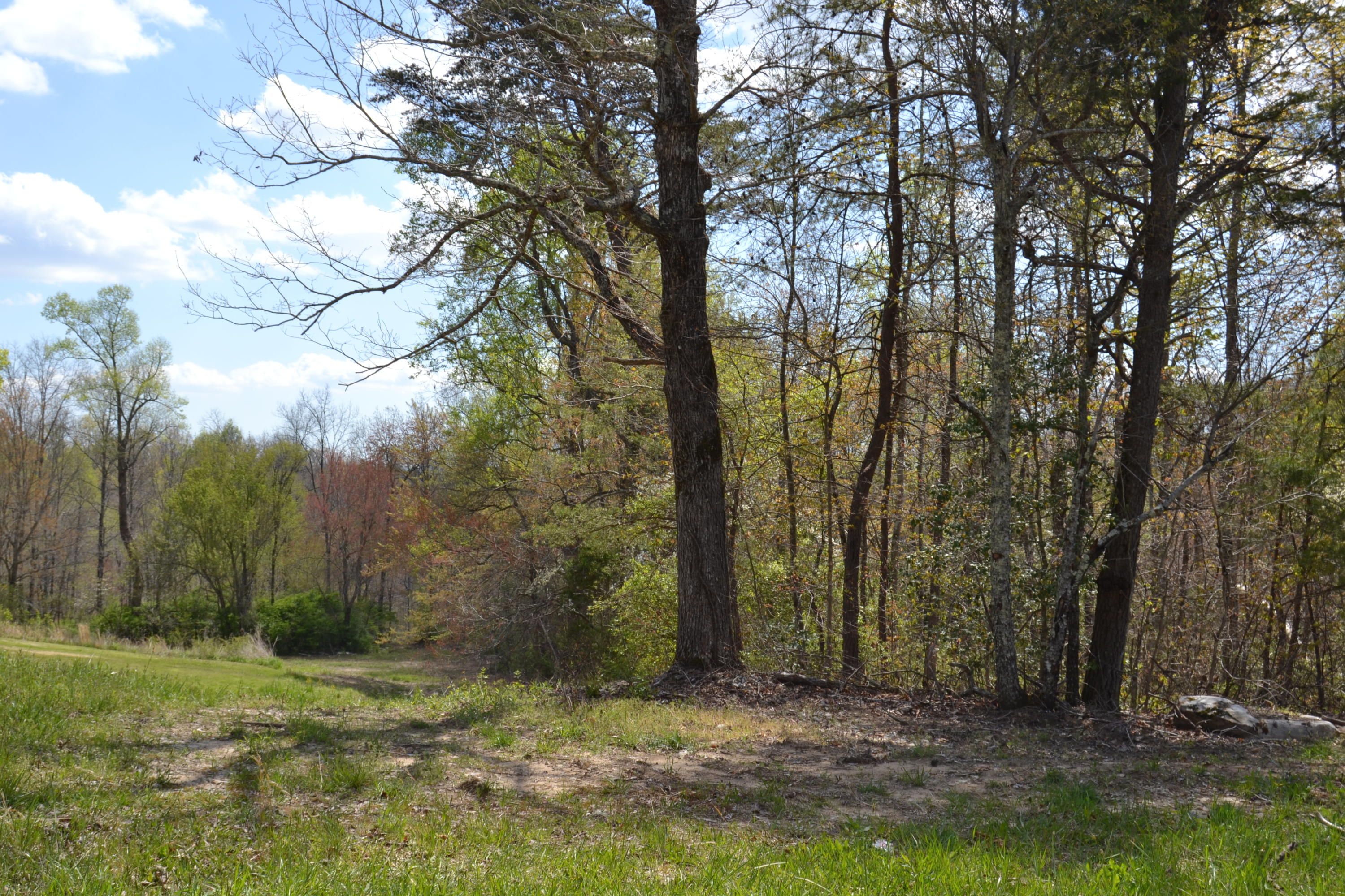 120 Acres, Pomona Rd, Crossville, TN 38571 Land and Farm