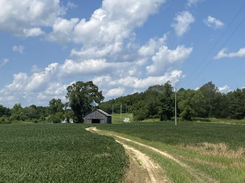 520 Liberty Church Rd, Burkesville, KY 42717 Land and Farm