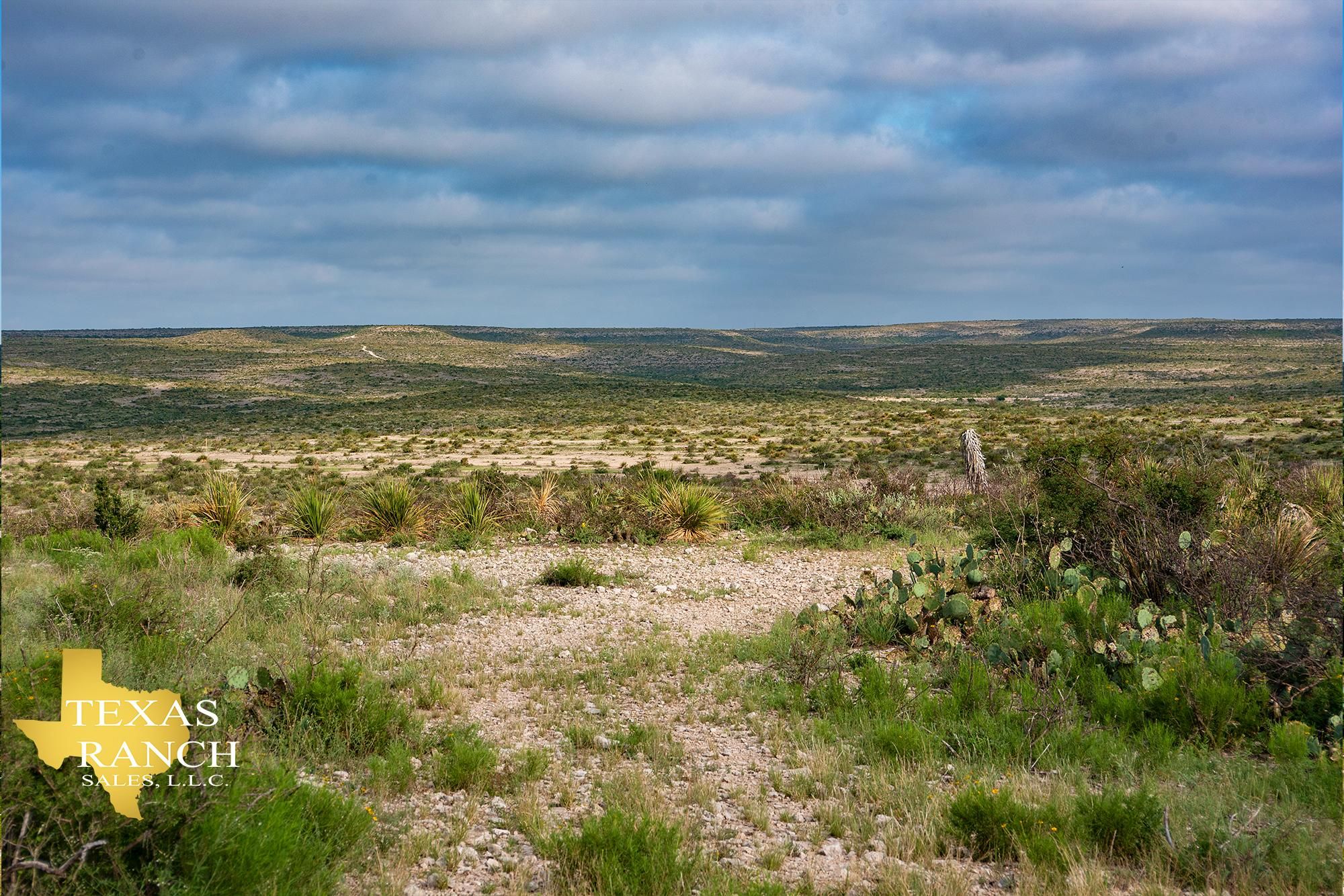 1,013 acres in Sanderson, TX, 79848 Land and Farm