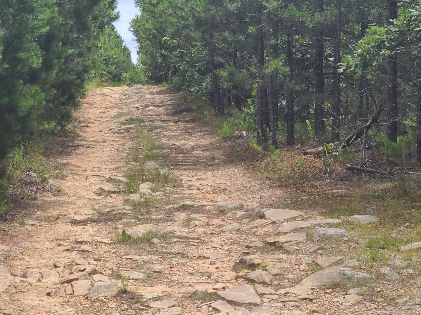 40 Acres, HUNT KTrail, Muse, OK 74949 Land and Farm