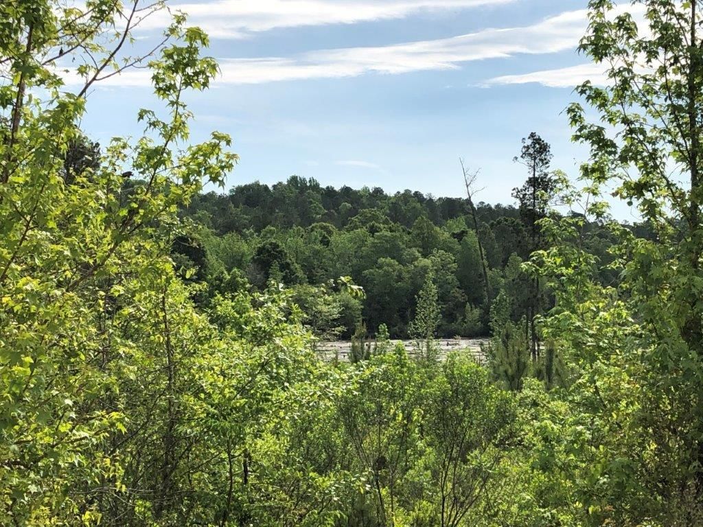 Deepstep Creek Road, Sandersville, GA 31082 Land and Farm