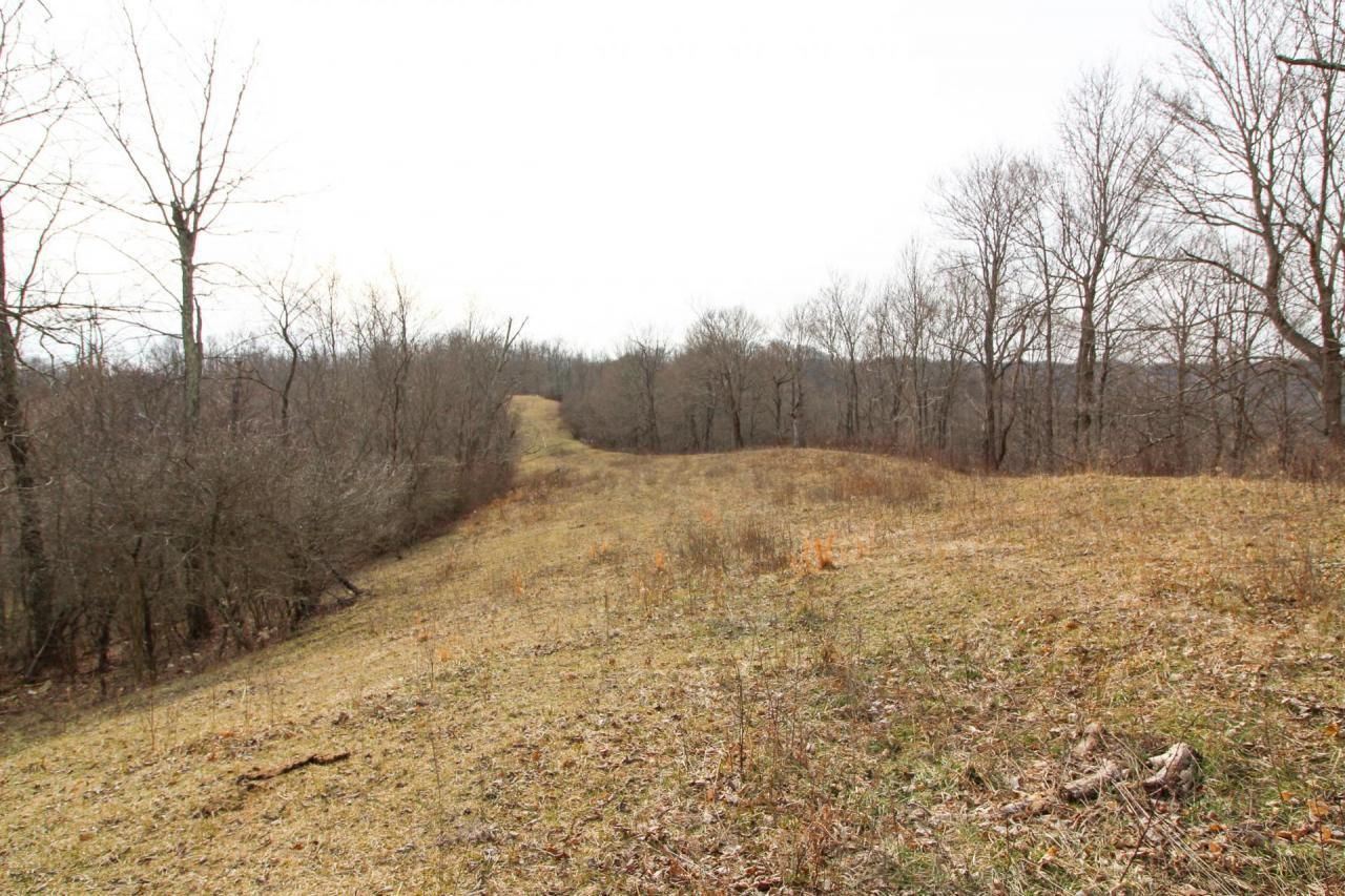 84 Acres, Wilsonwood Rd, Blue Rock, OH 43720 Land and Farm