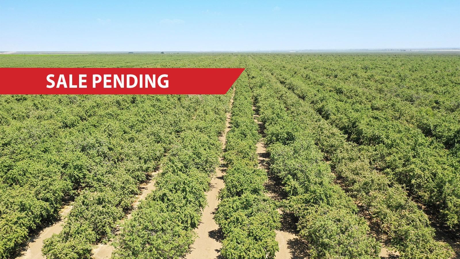 NWC of S. Russell & W. North Aves., Firebaugh, CA 93622 Land and Farm