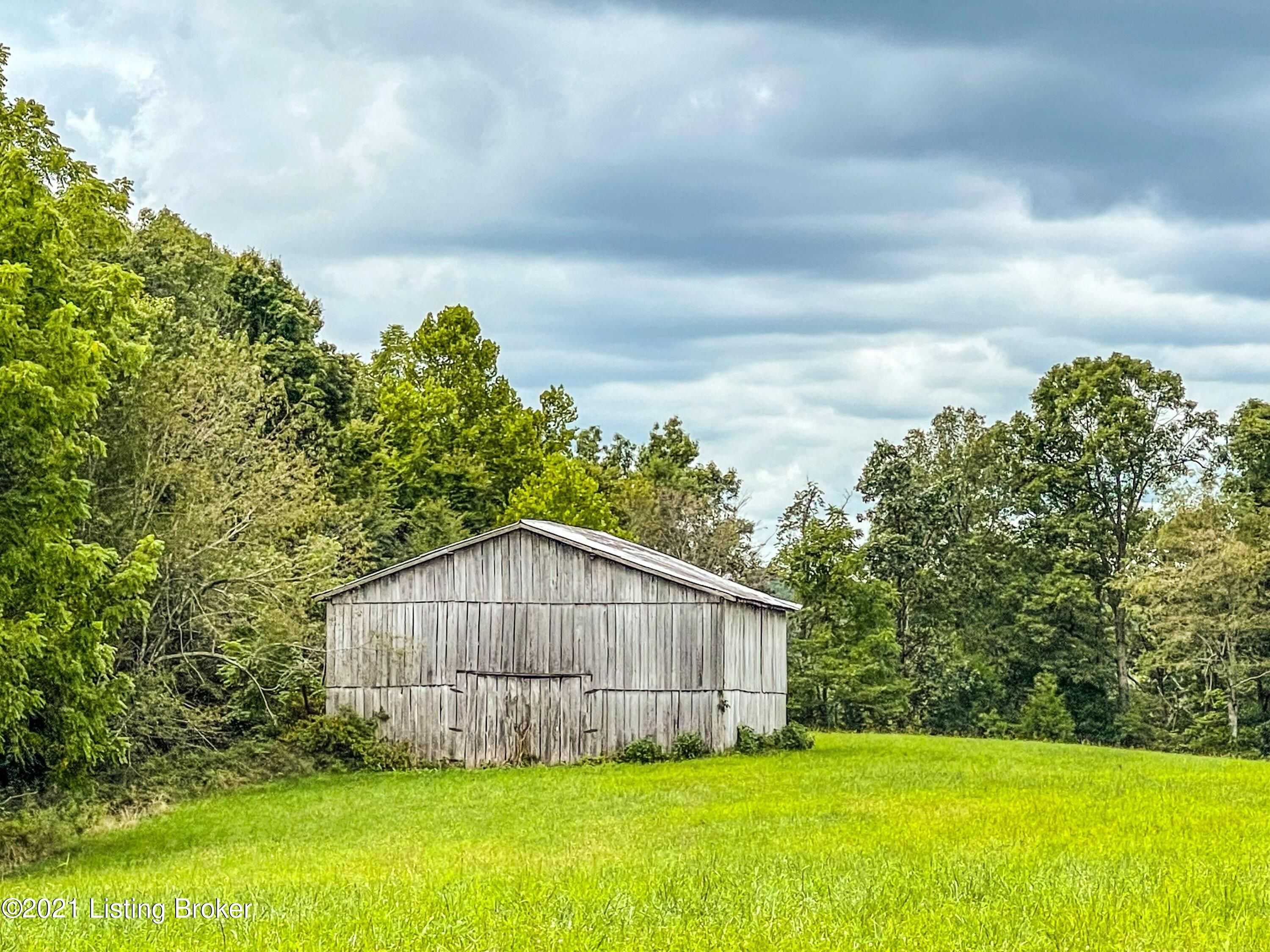 62.6 Acres, 11390 Peonia Rd, Clarkson, KY 42726 Land and Farm