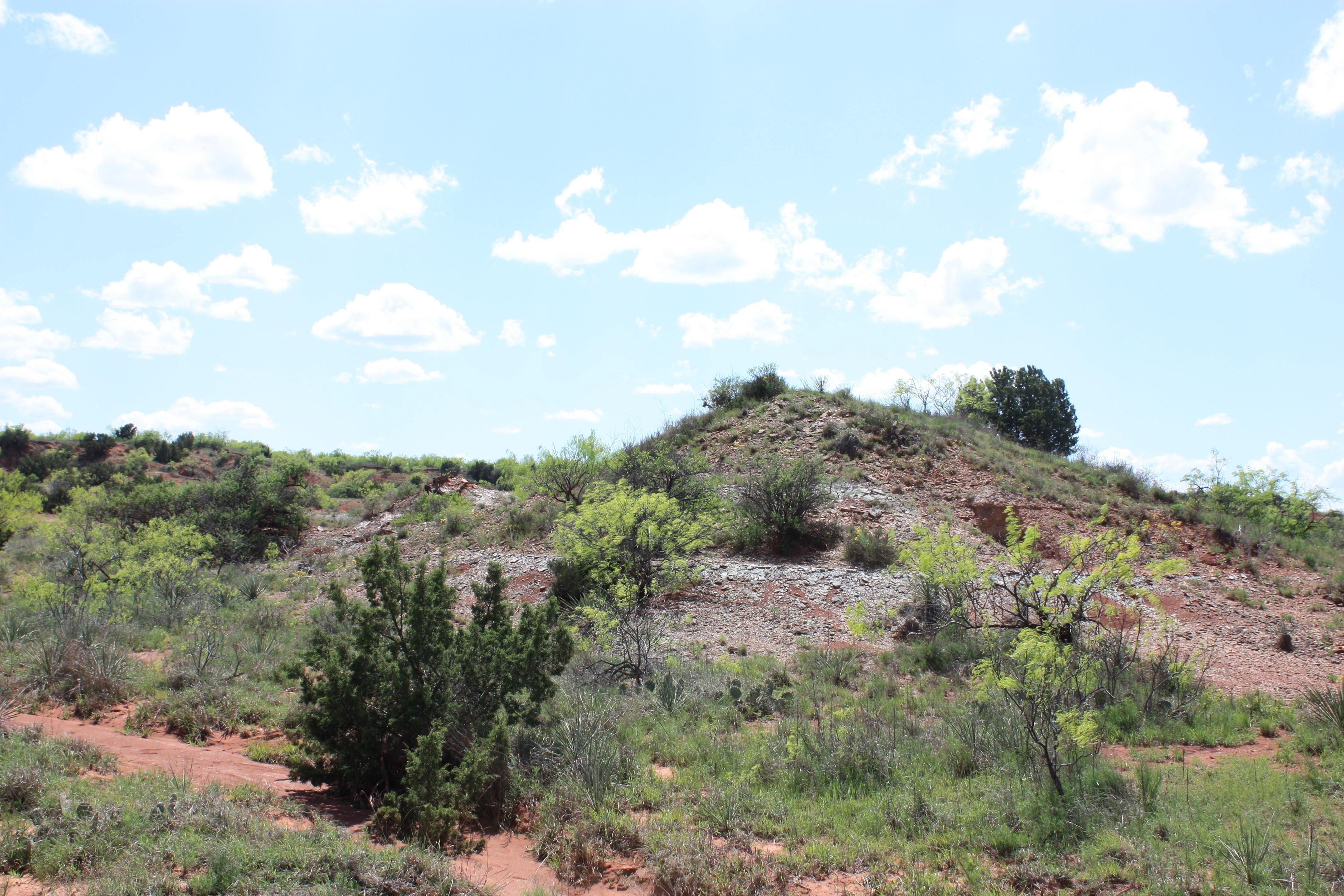 Evans Road, Quanah, TX 79252 MLS 217078 Land and Farm