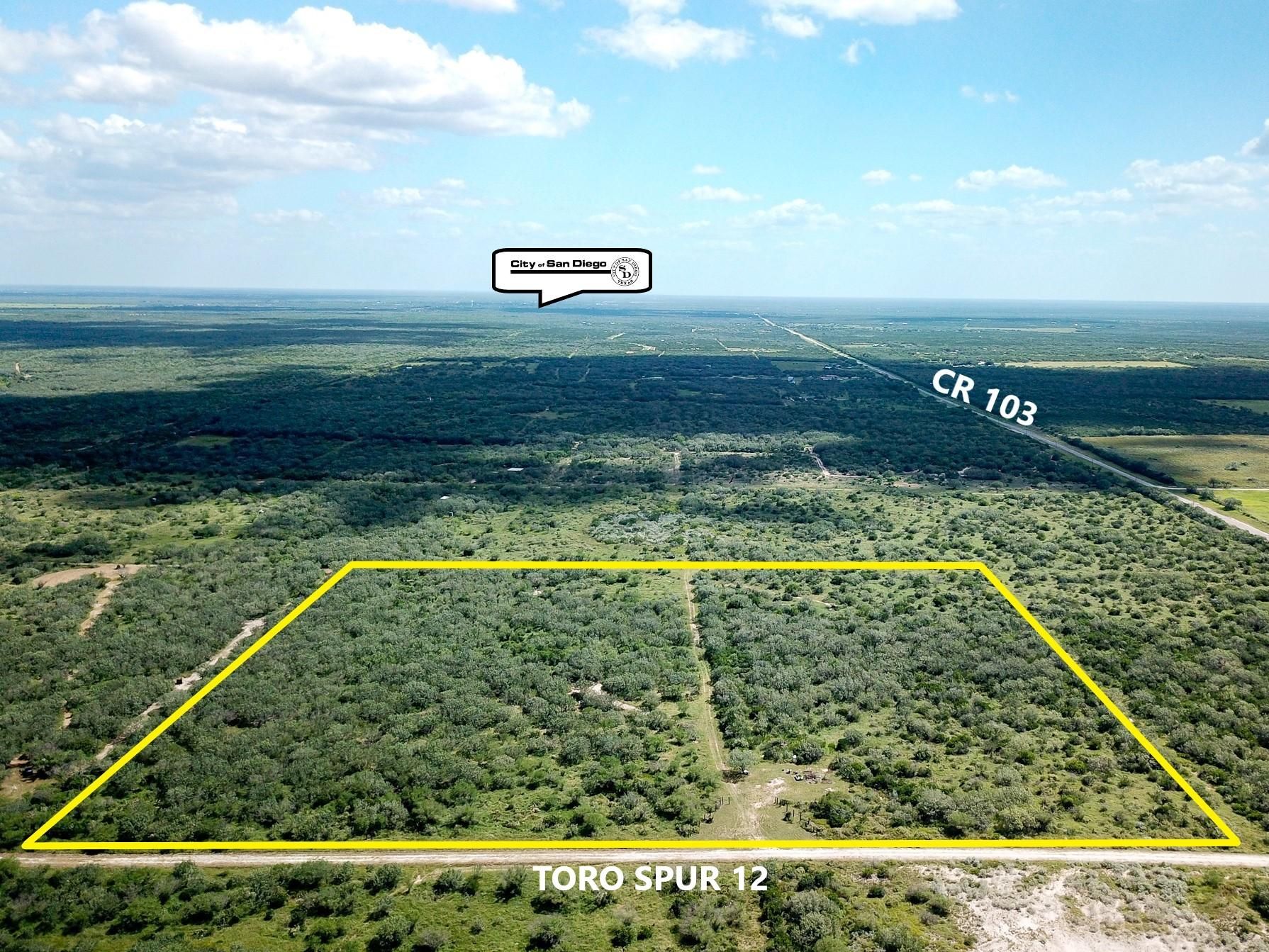 Toro Spur 12, San Diego, TX 78384 Land and Farm