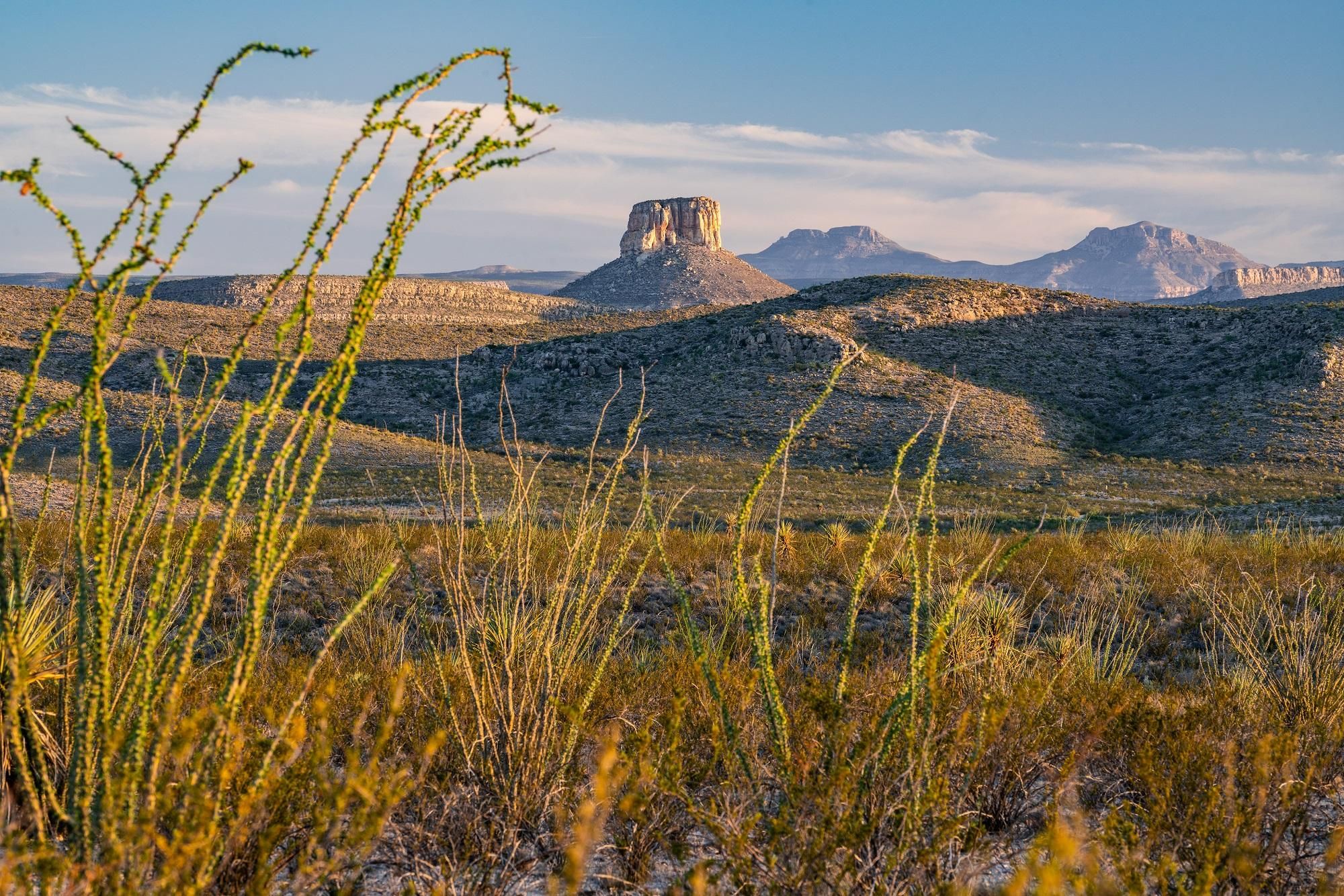 335,952 acres in Marathon, TX, 79842 Land and Farm