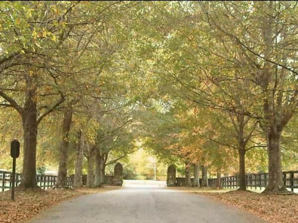 8000 MIDLAND ROAD, Midland, GA 31820 MLS 188053 Land and Farm