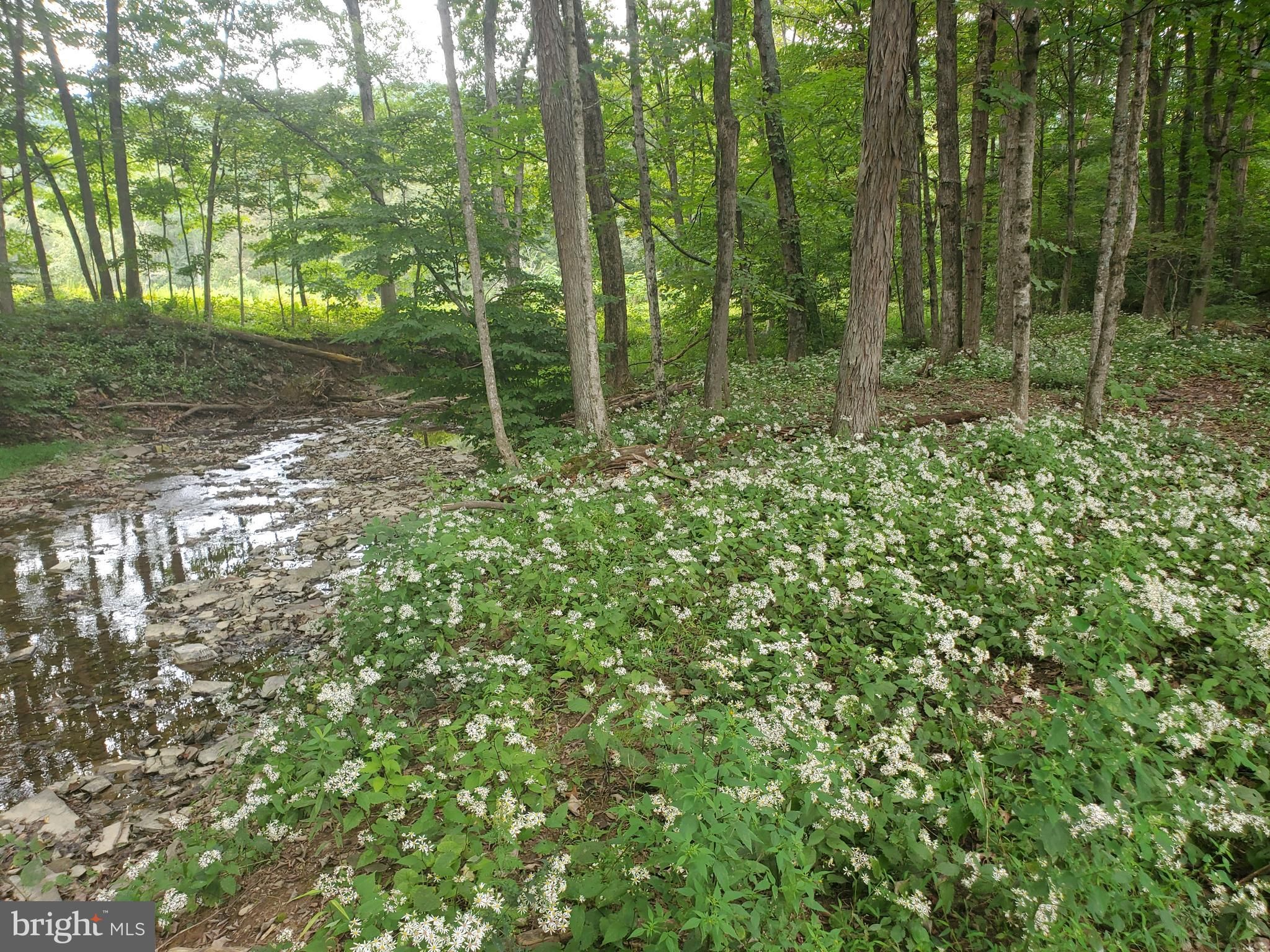 88 Acres, 10541 MIDDLE RIDGE ROAD, Elliottsburg, PA 17024 Land and Farm